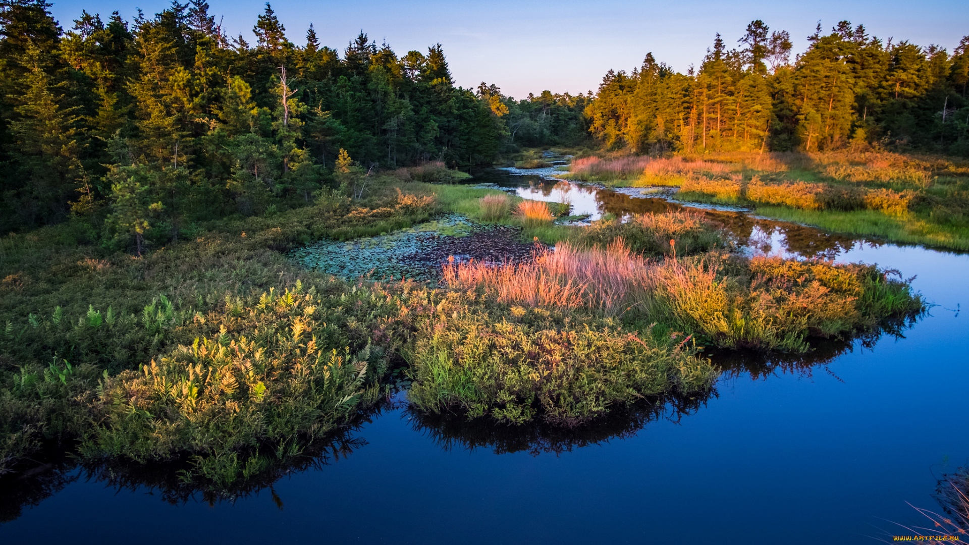 природа, реки, озера, лес, река