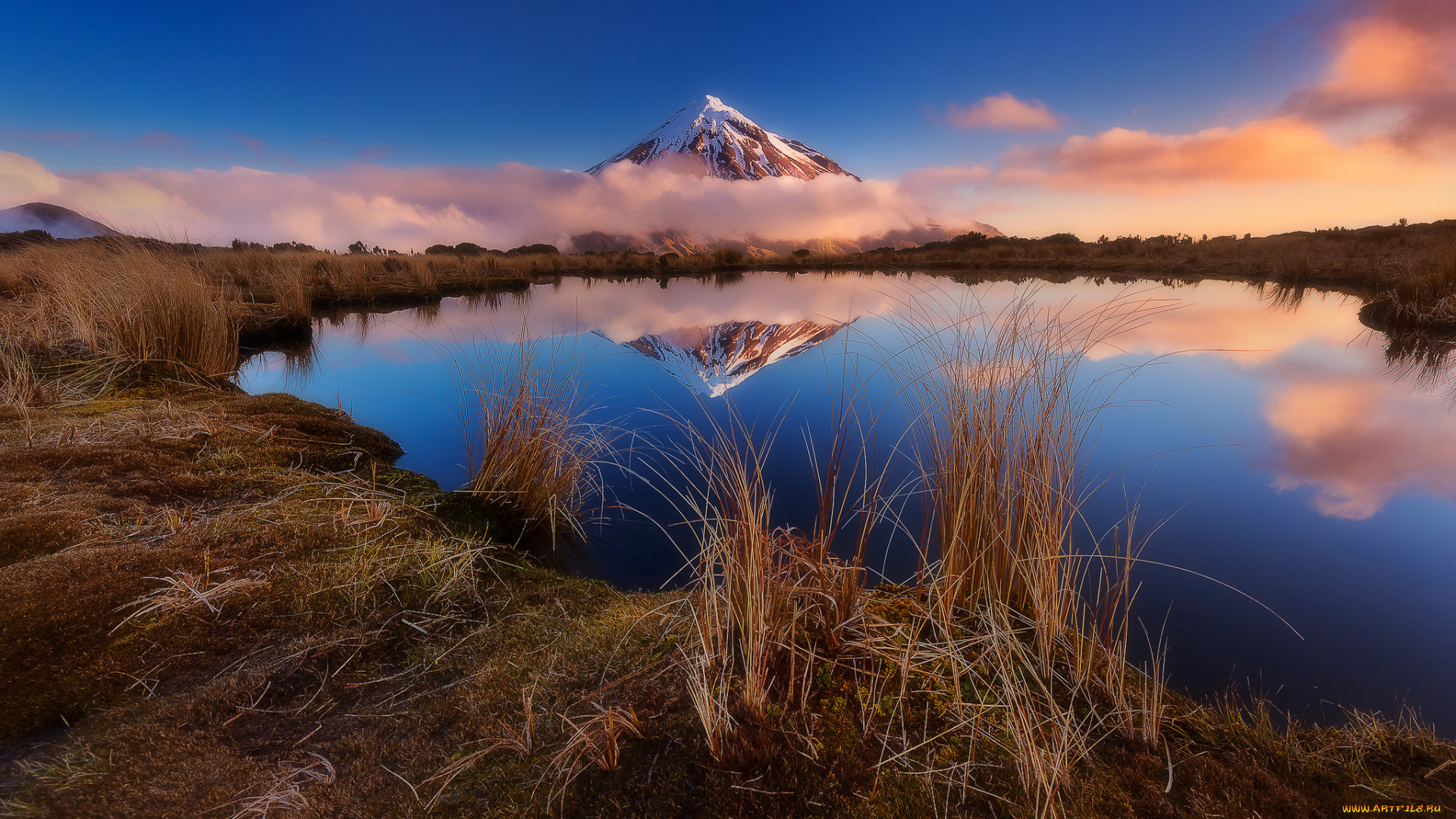 природа, реки, озера, река, лес