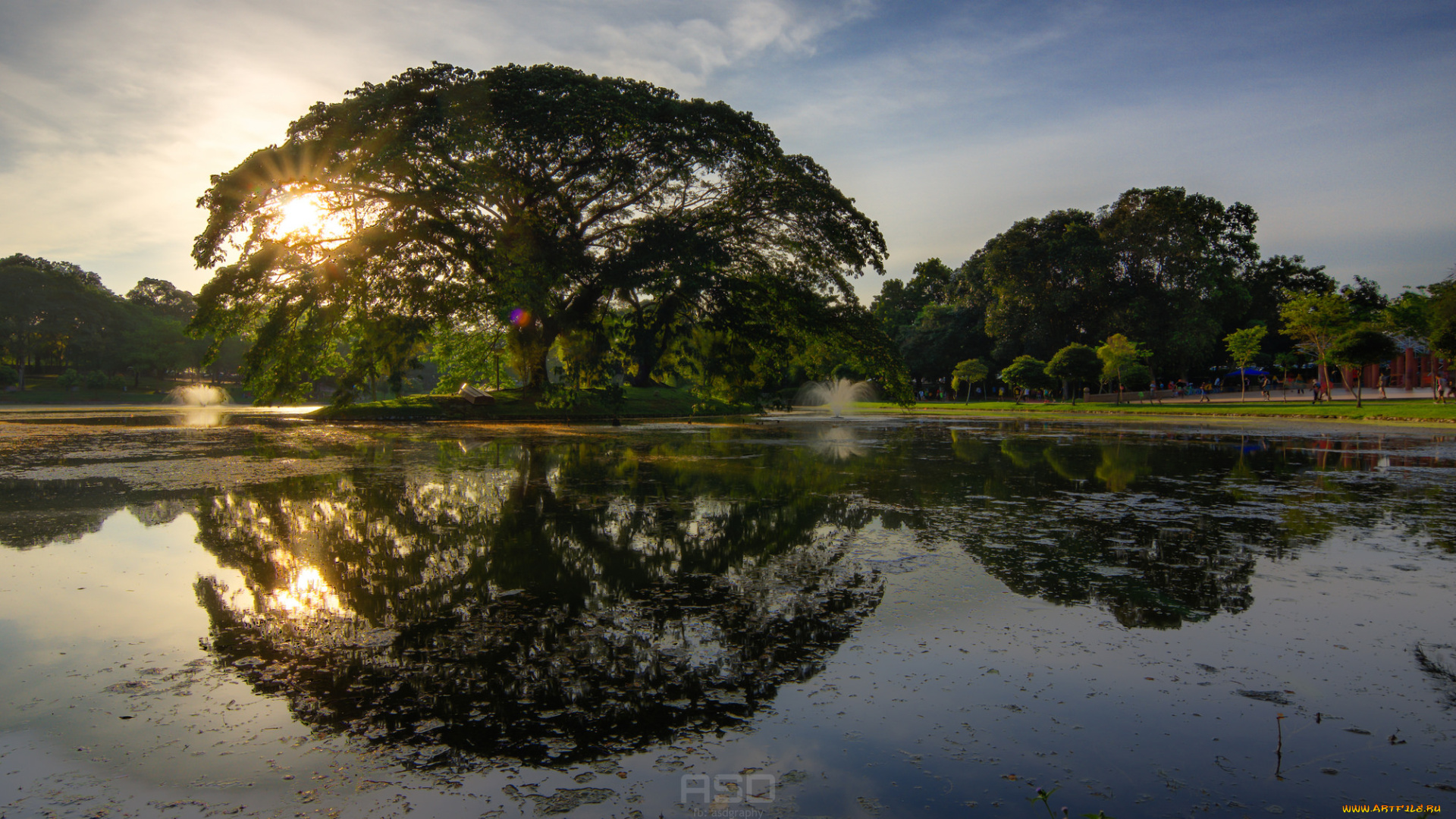 природа, реки, озера, река, лес