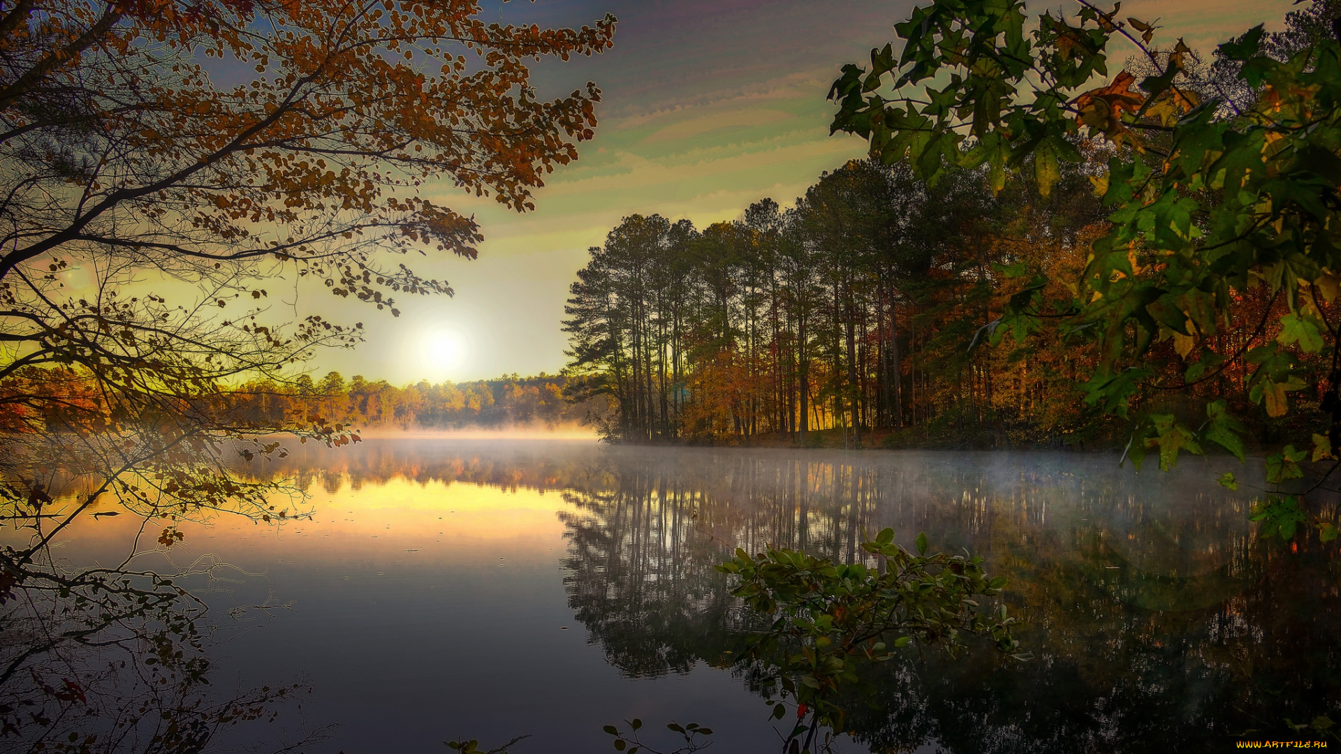 природа, реки, озера, река, лес