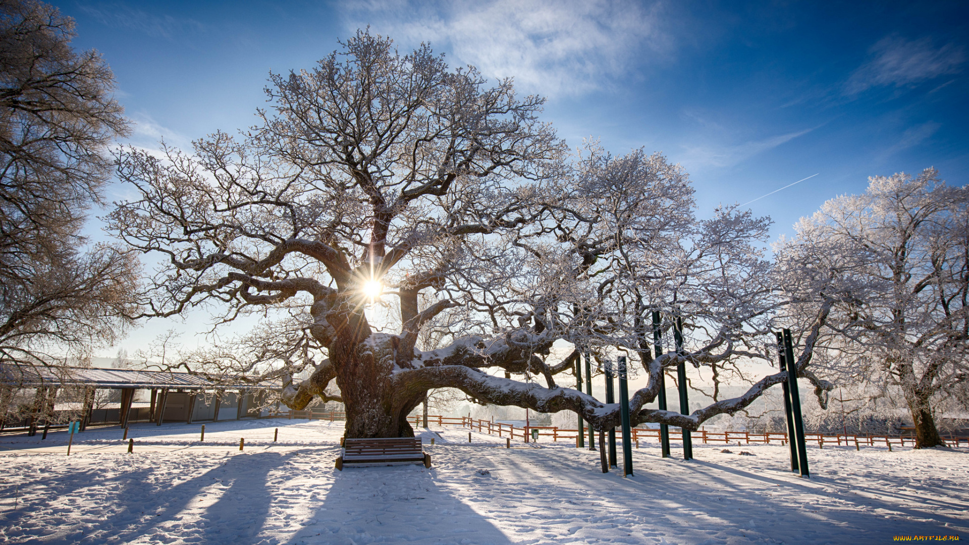 природа, зима, снег