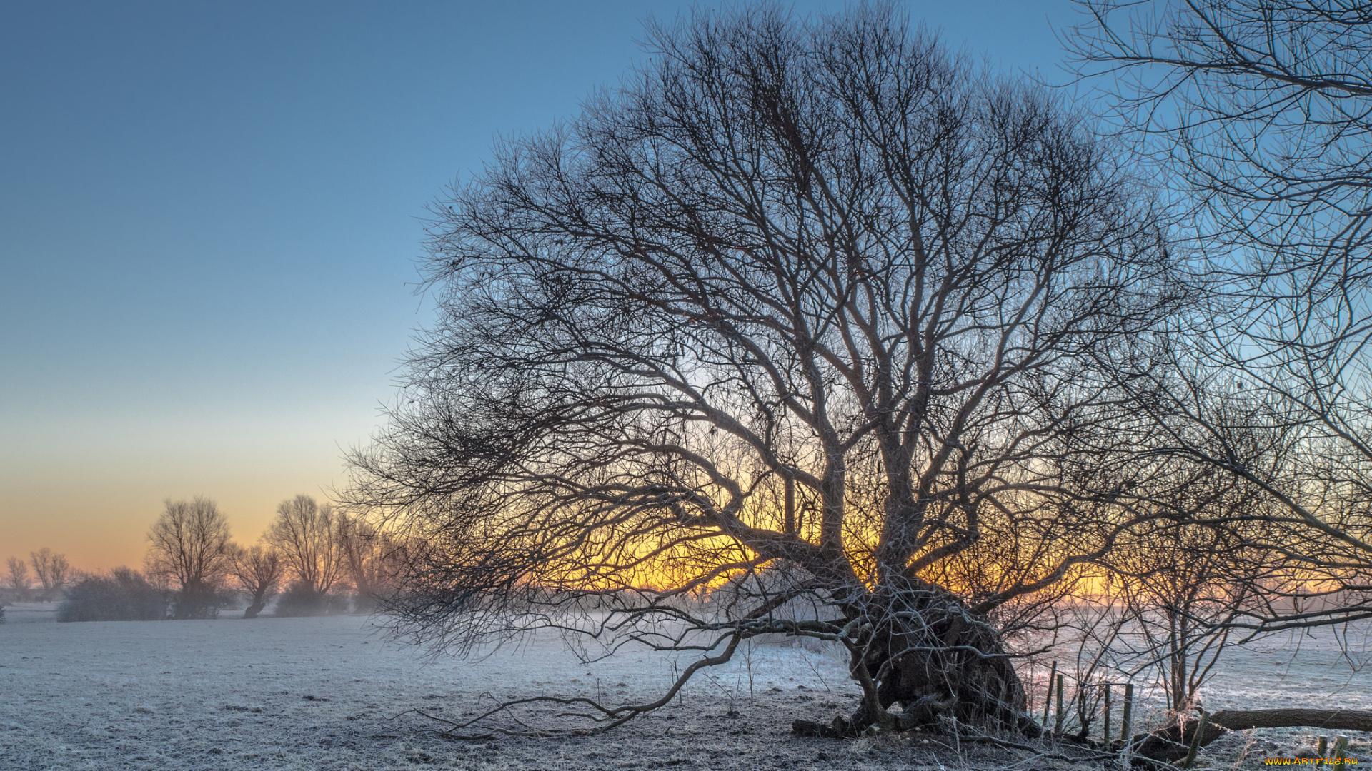 природа, зима, снег