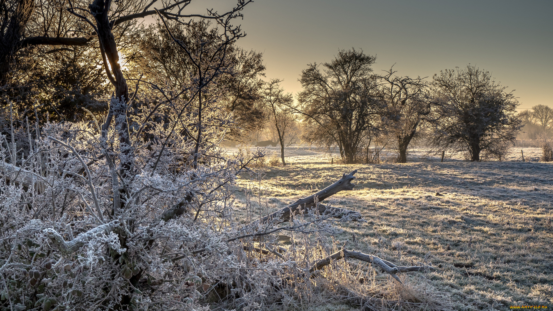 природа, зима, снег