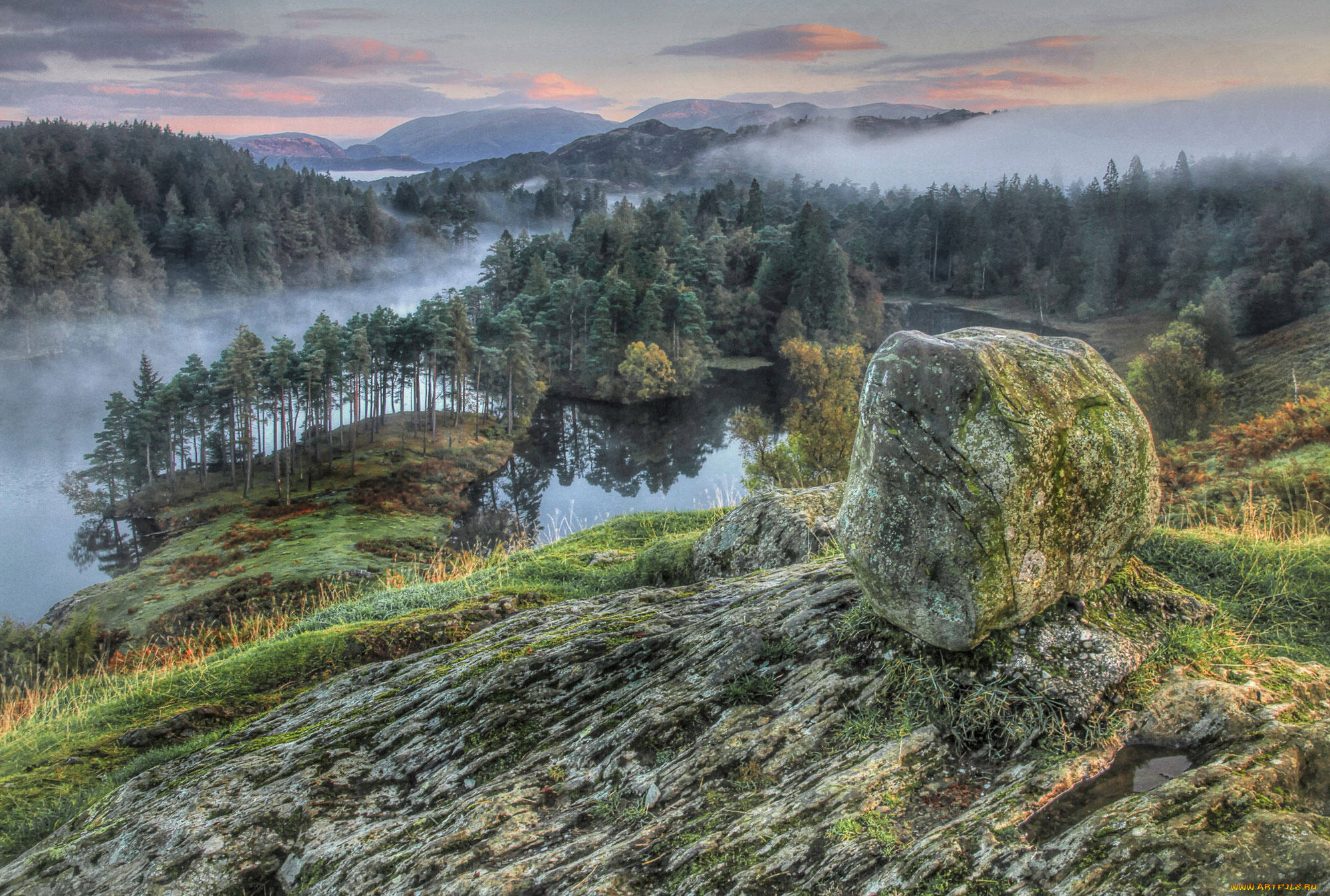 природа, реки, озера, лес, река