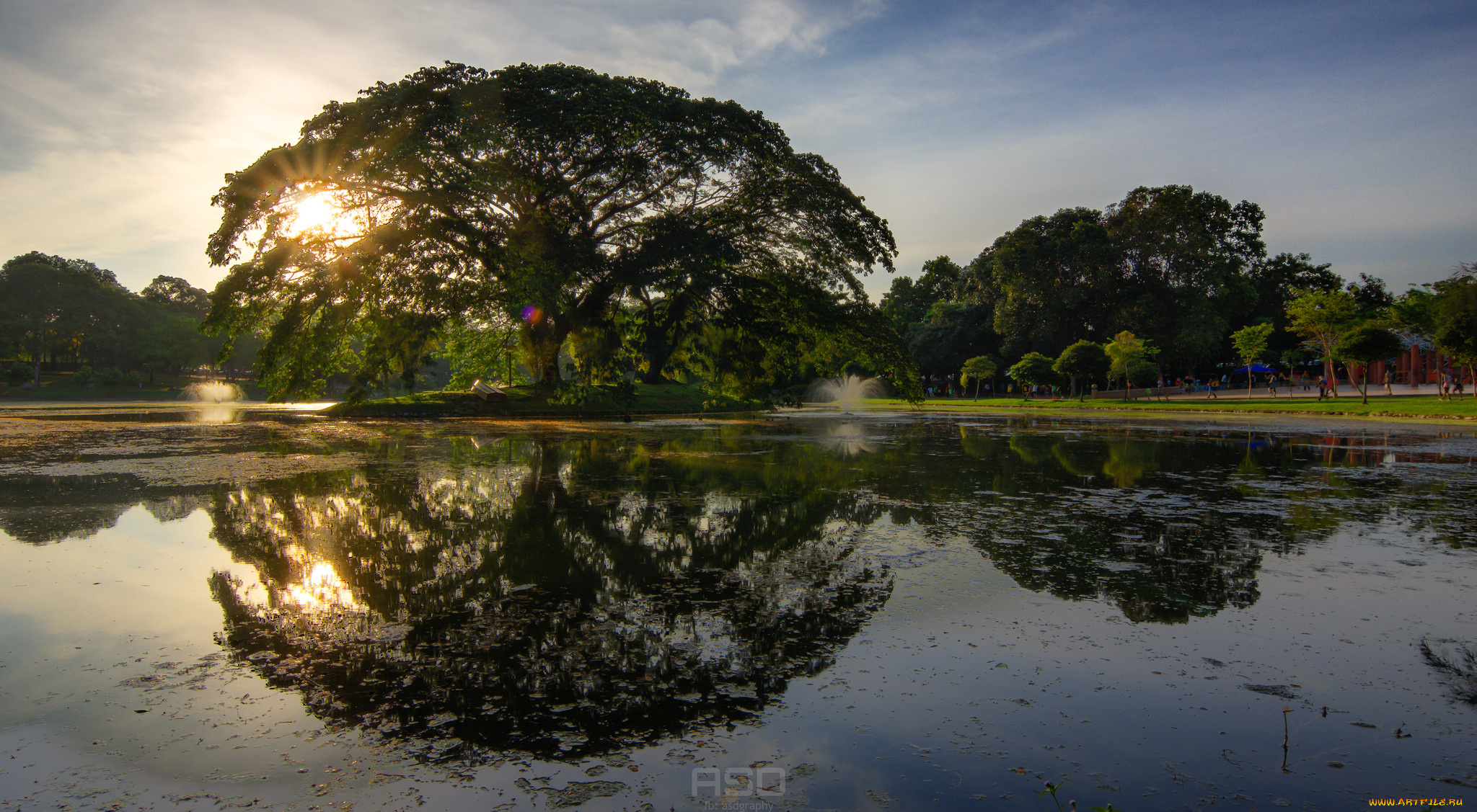 природа, реки, озера, река, лес