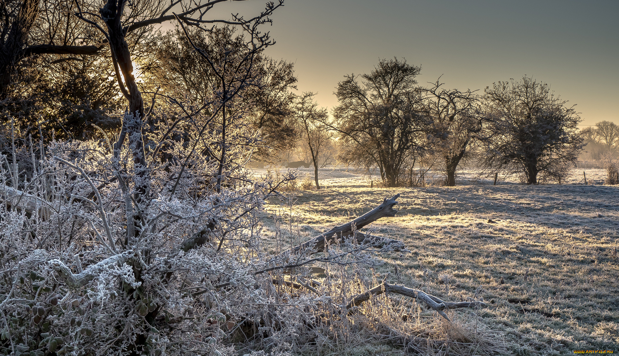 природа, зима, снег