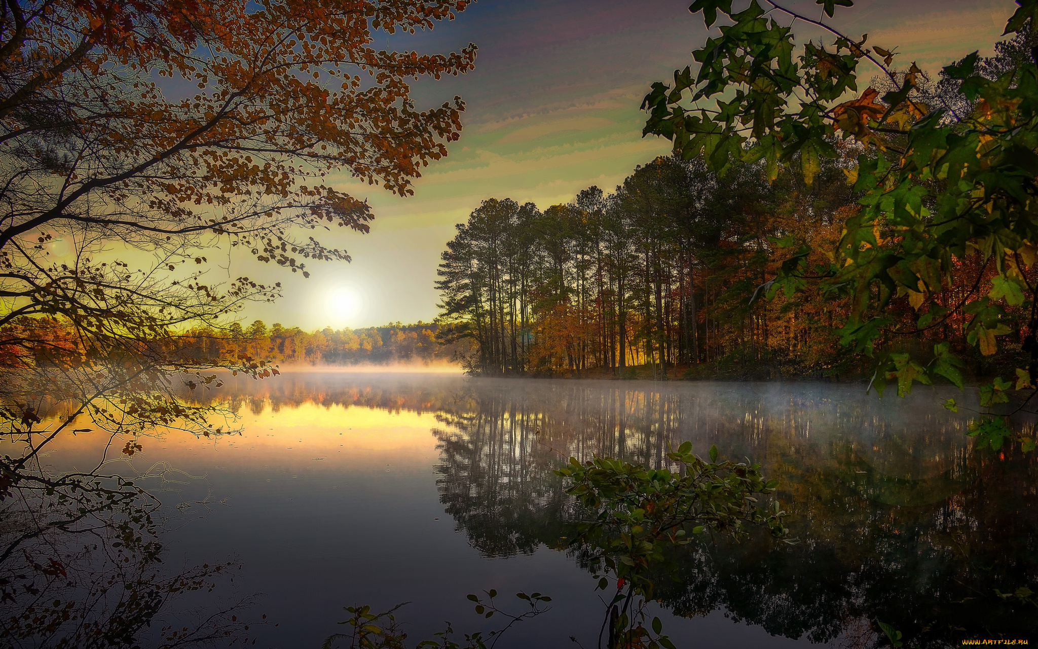 природа, реки, озера, река, лес