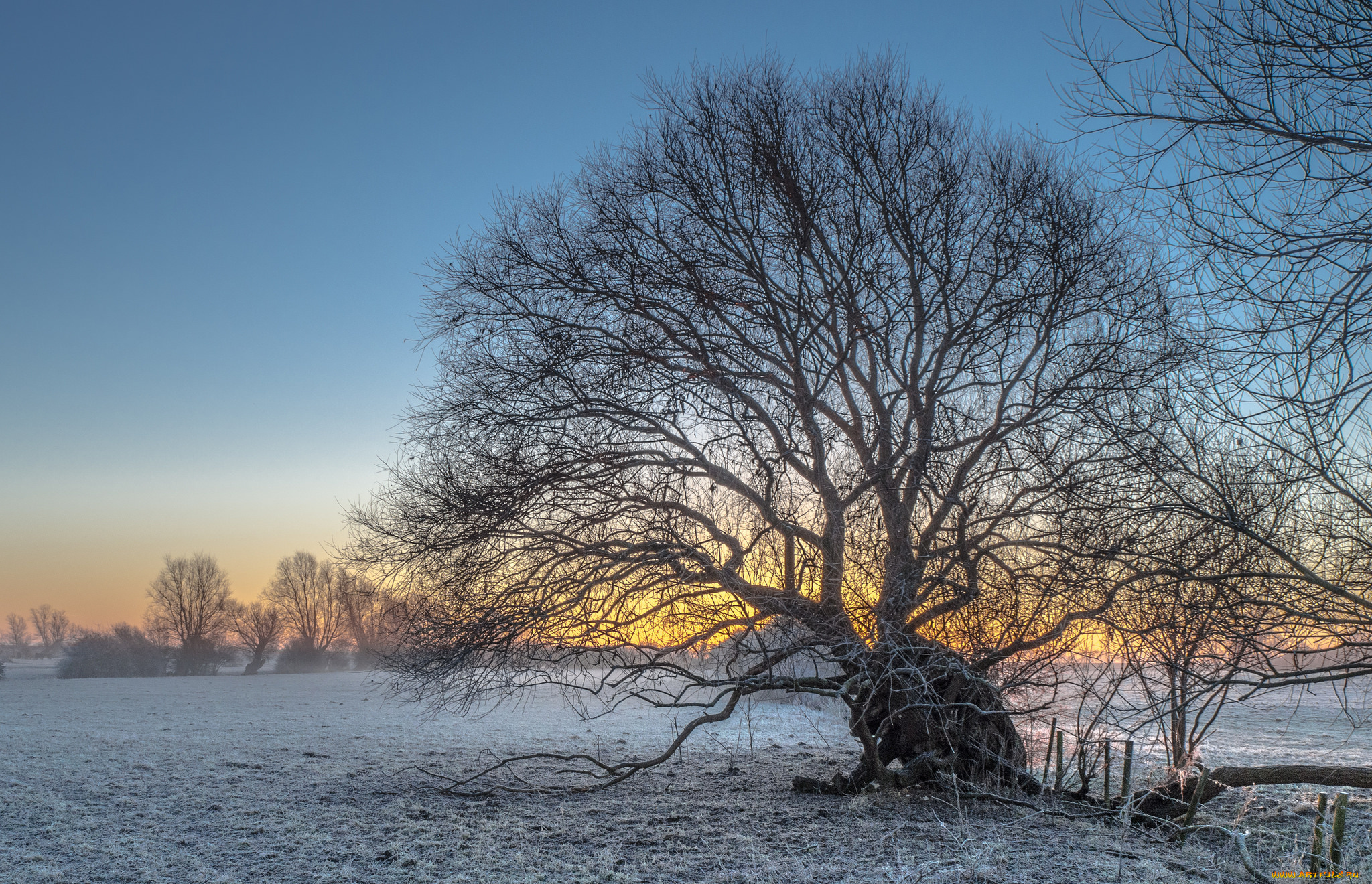 природа, зима, снег