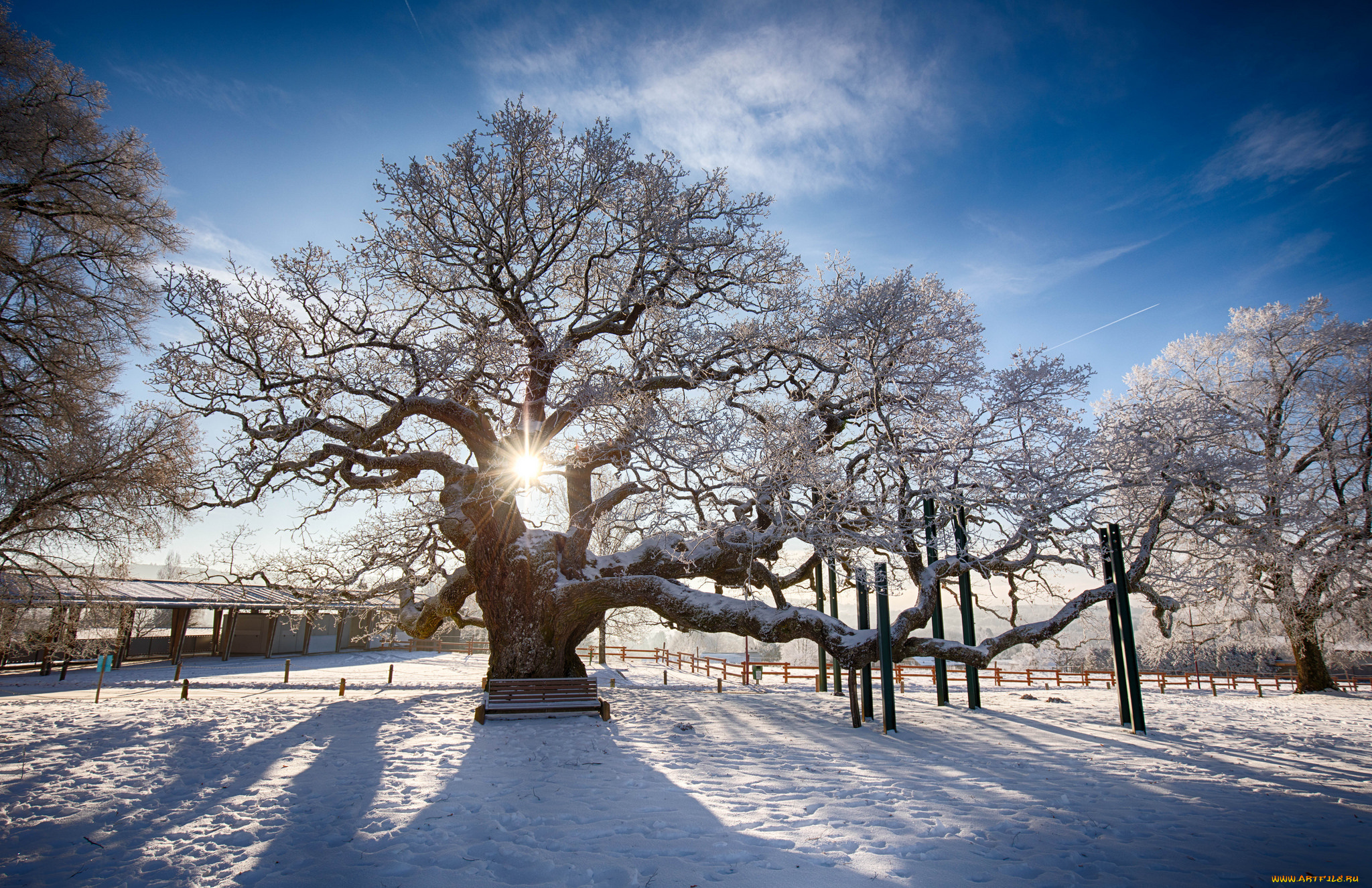 природа, зима, снег