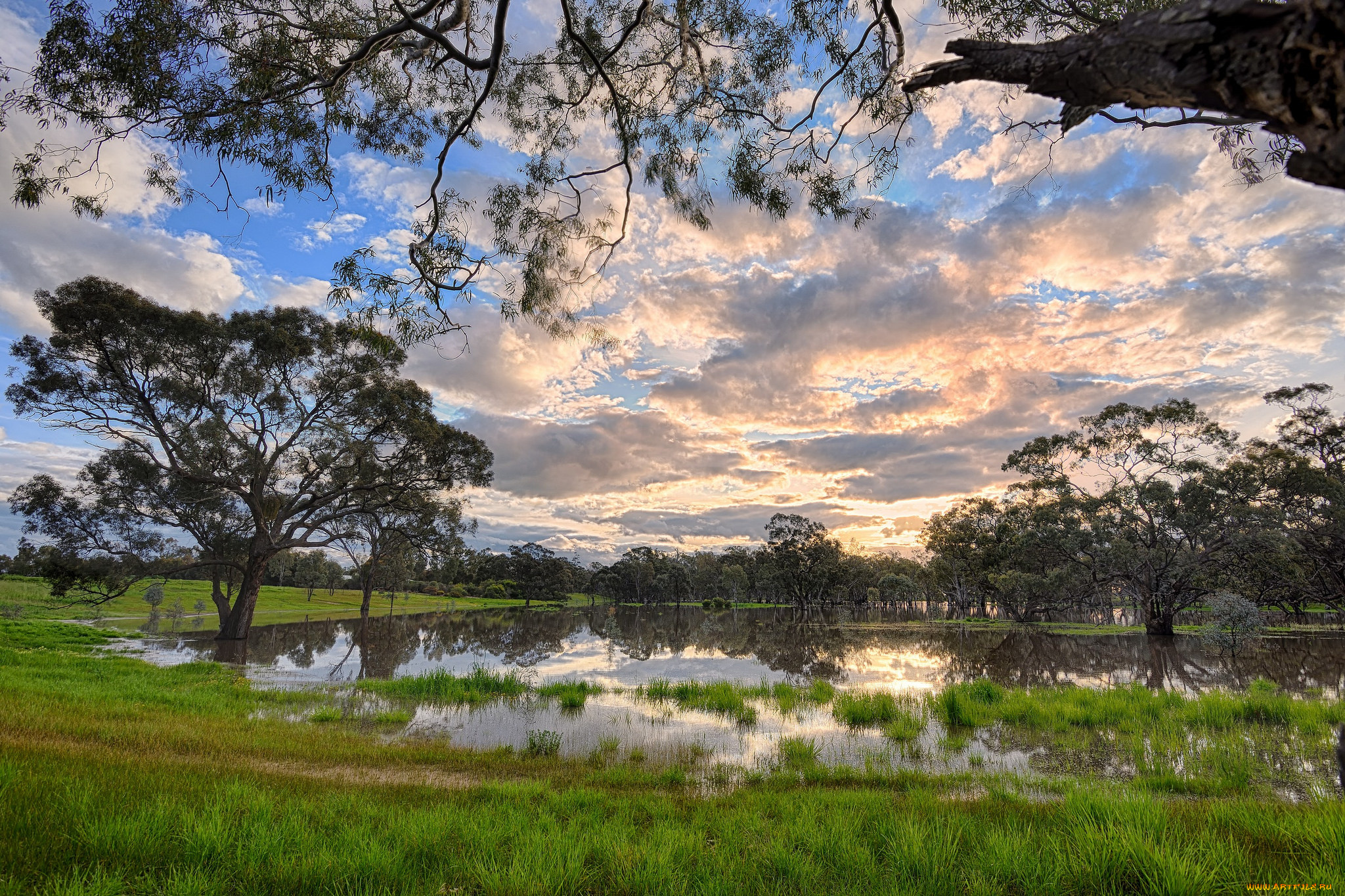 природа, реки, озера, лес, река