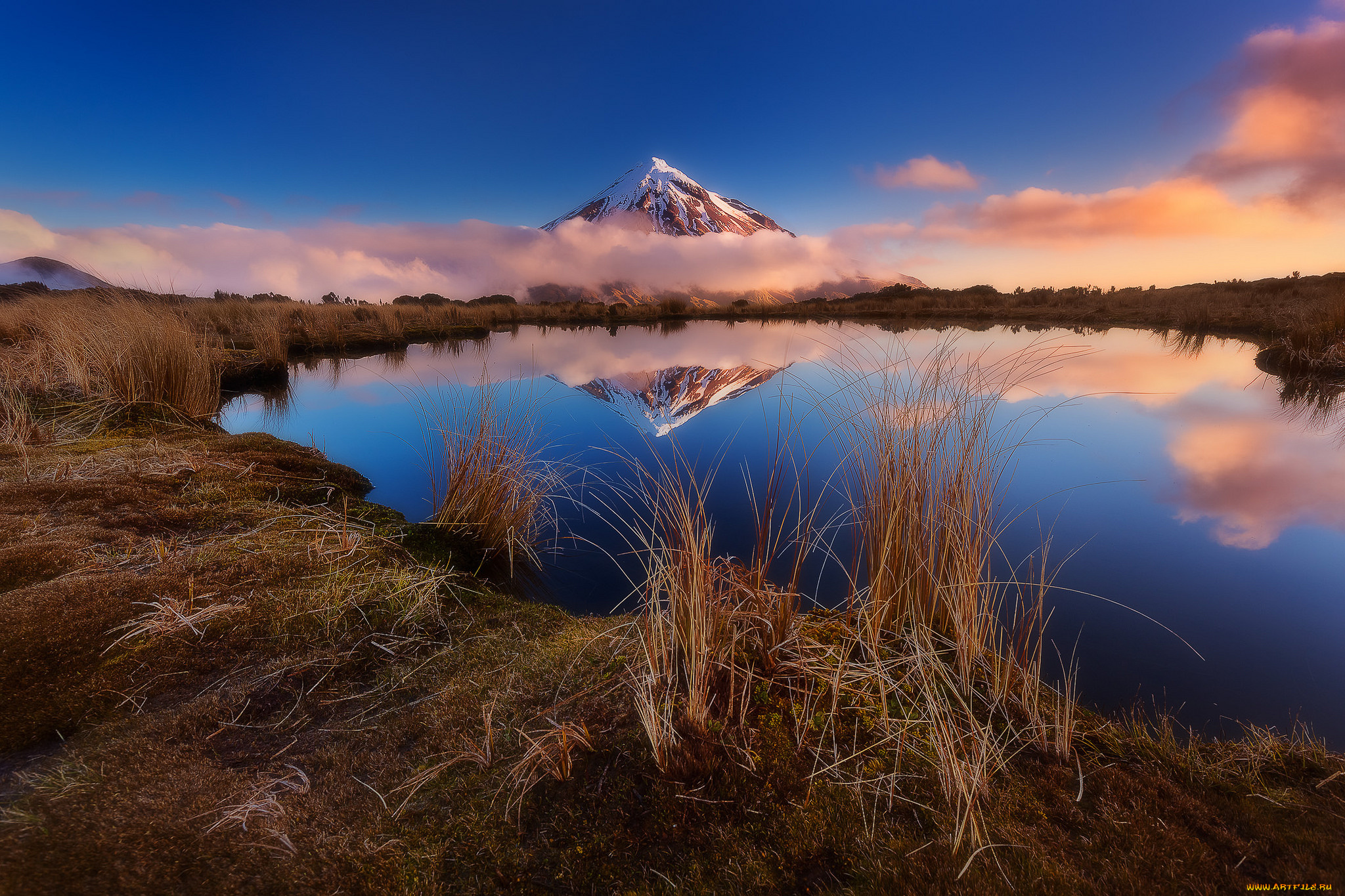 природа, реки, озера, река, лес