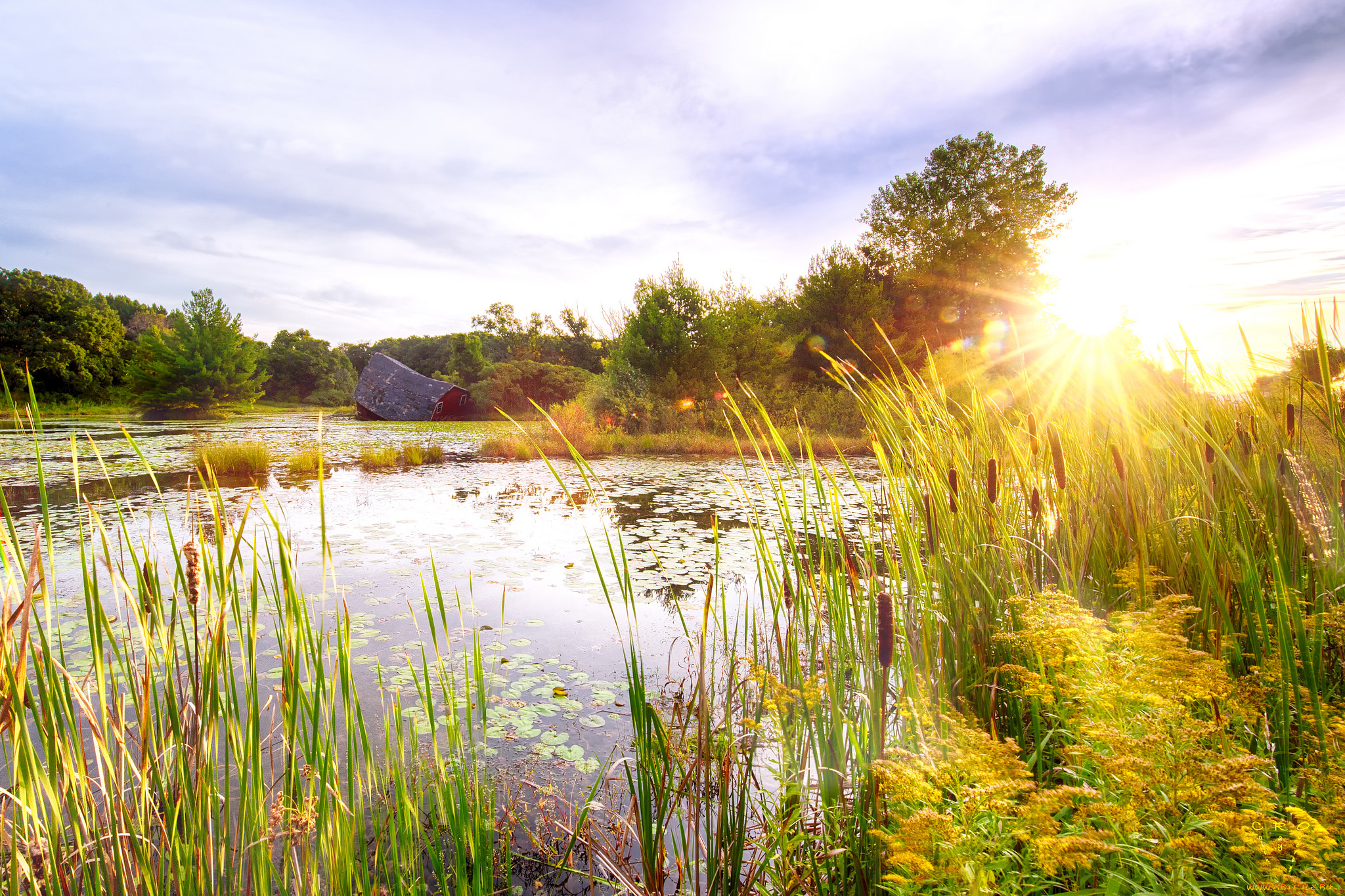 природа, реки, озера, река, лес