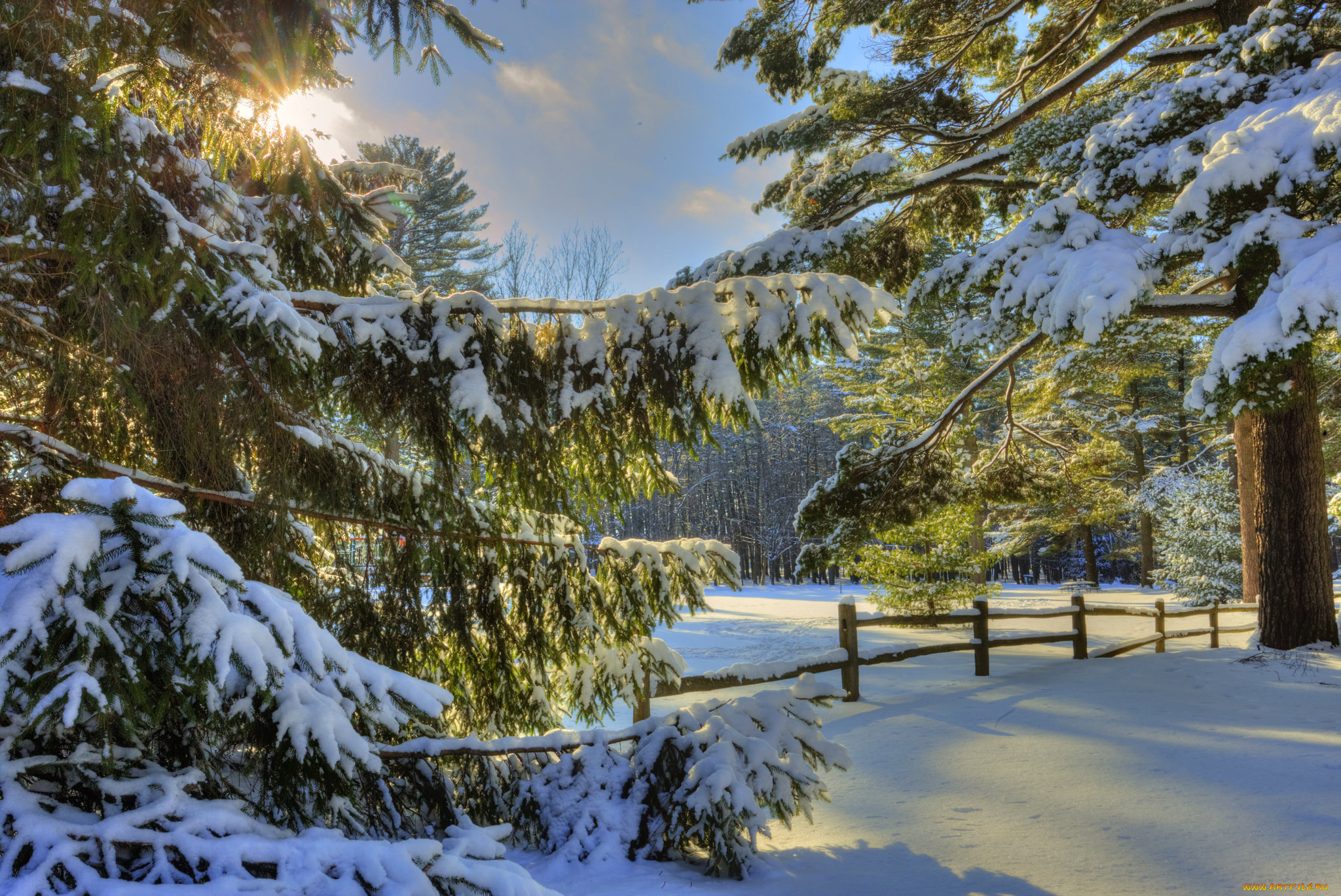 природа, зима, снег