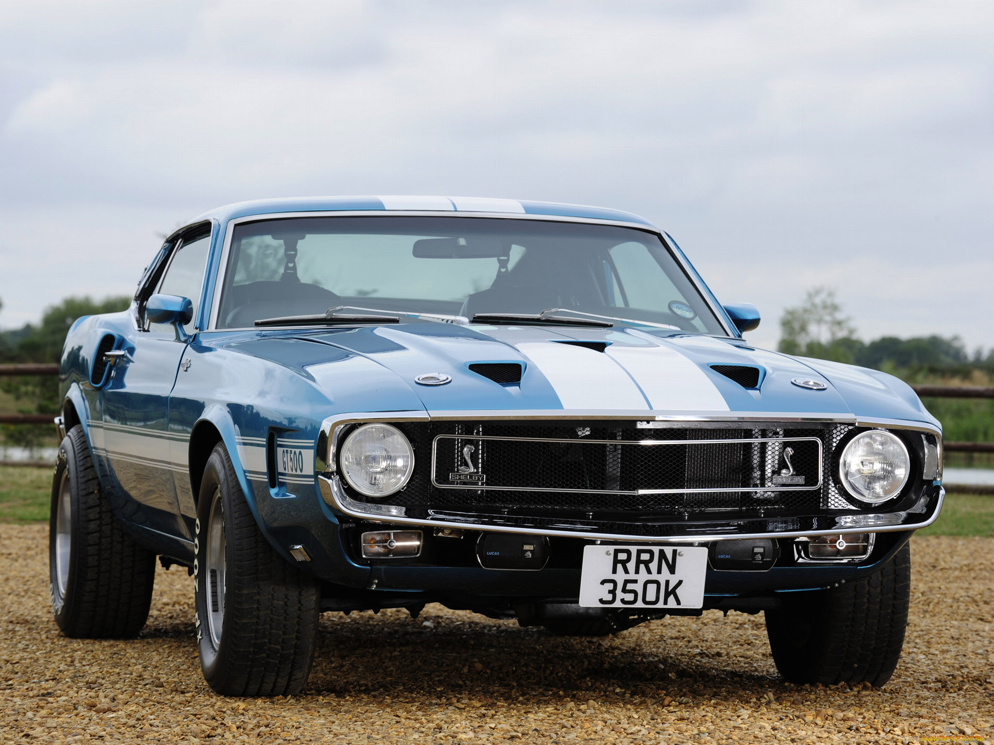 автомобили, mustang