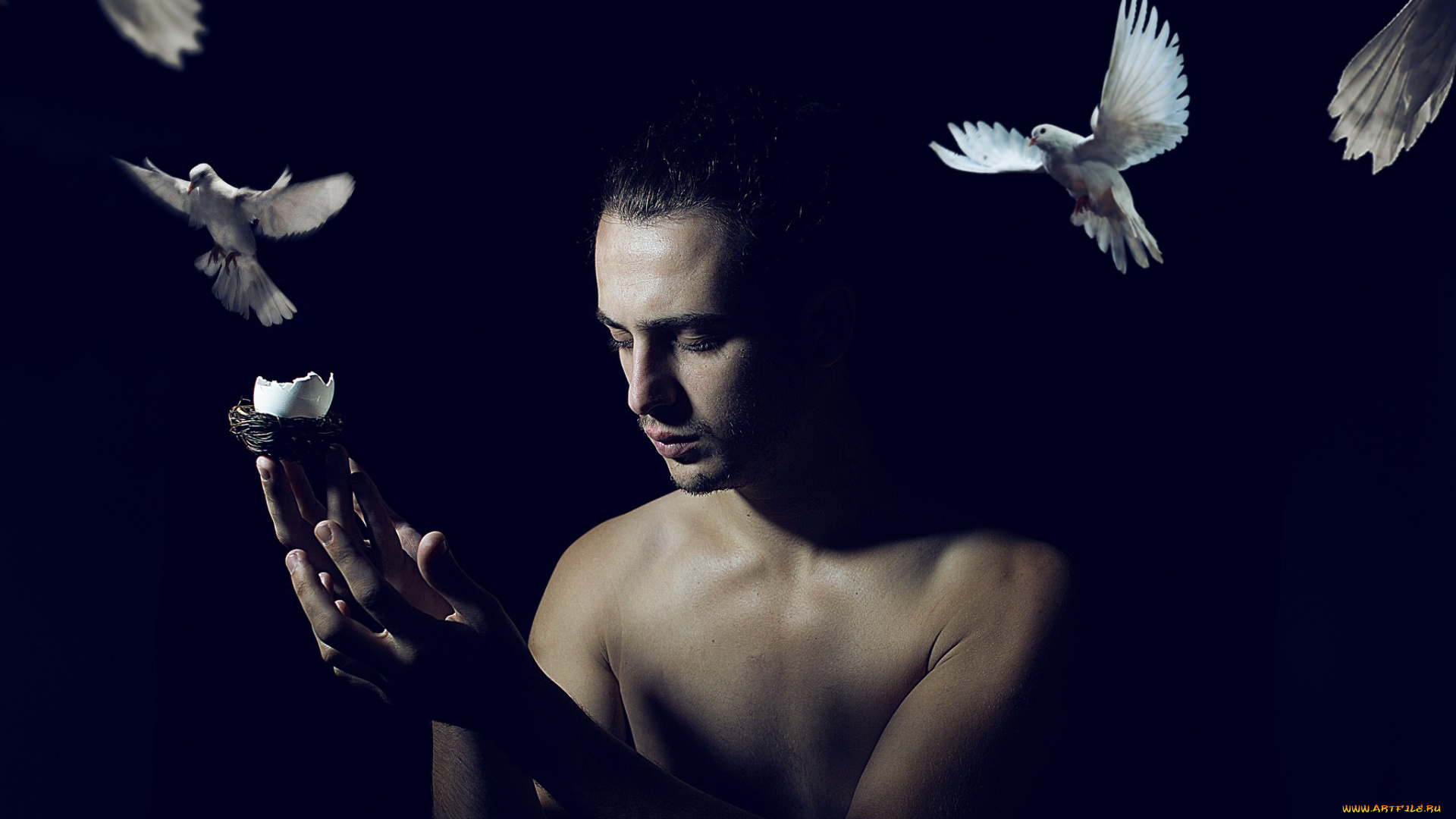 мужчины, -, unsort, человек, фон, голуби