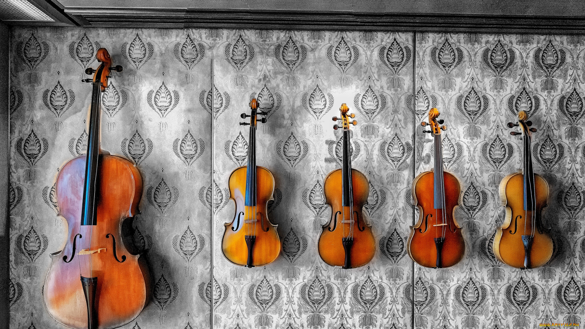 музыка, -музыкальные, инструменты, скрипка