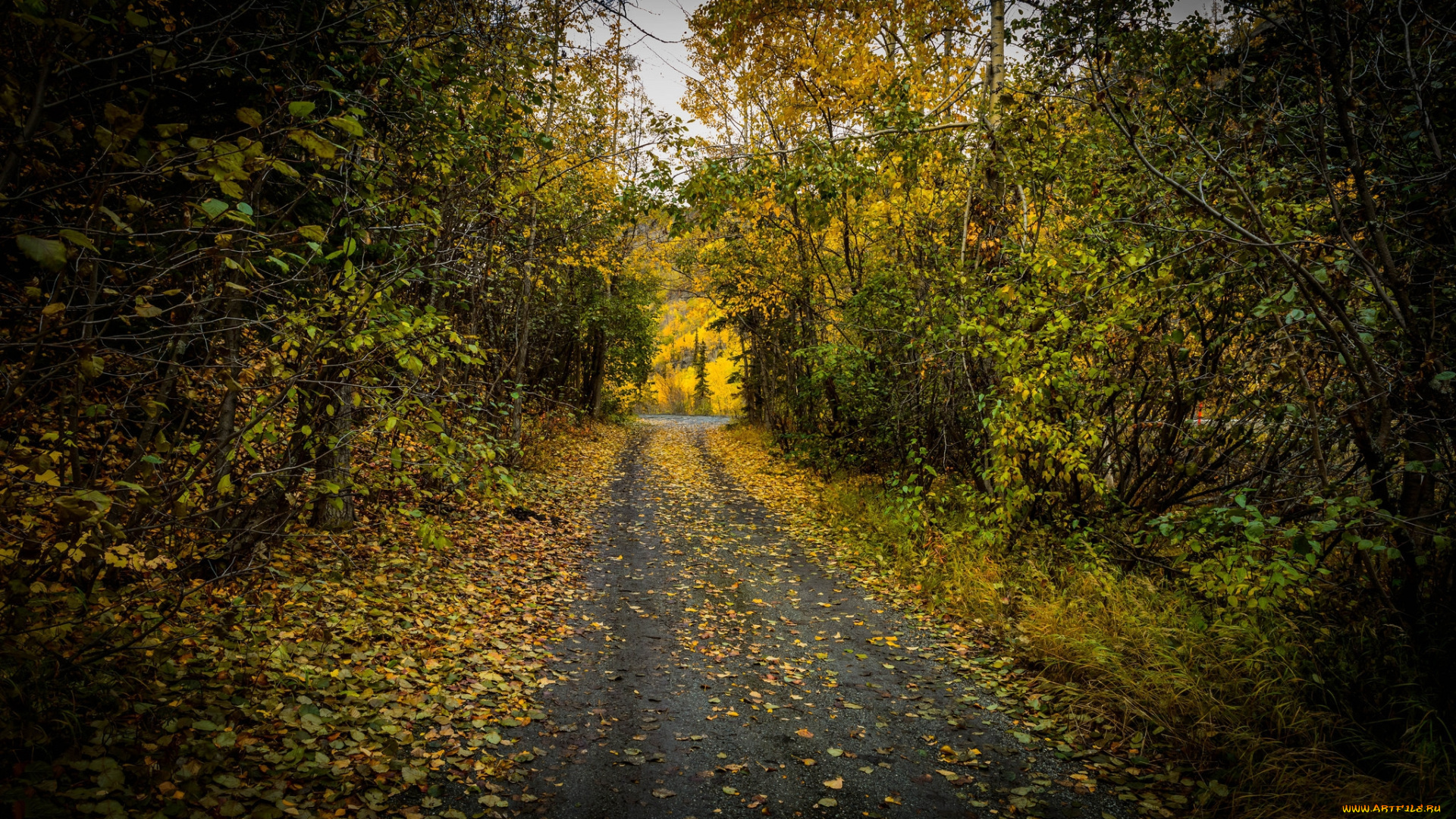 природа, дороги, простор