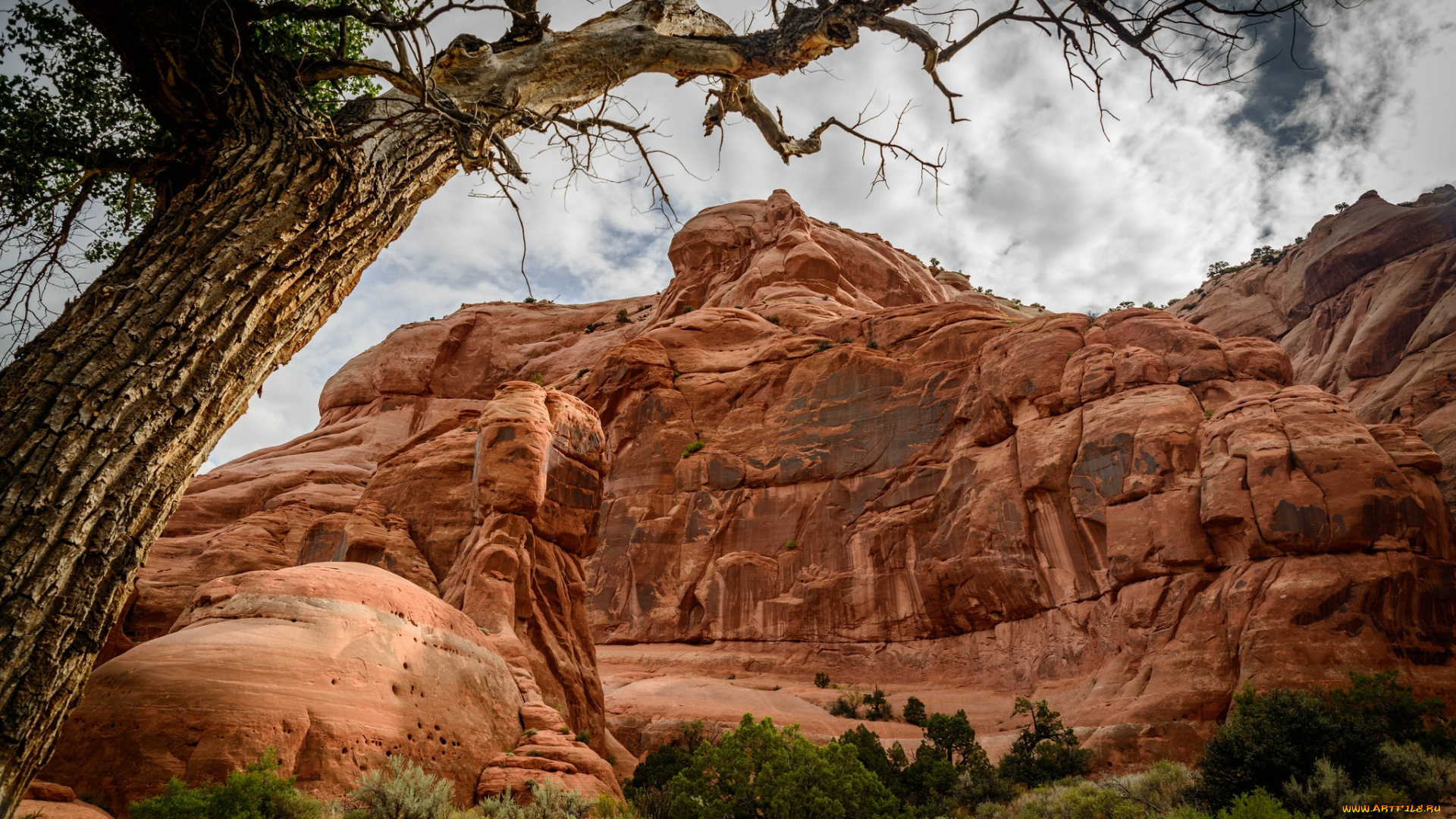 природа, горы, простор