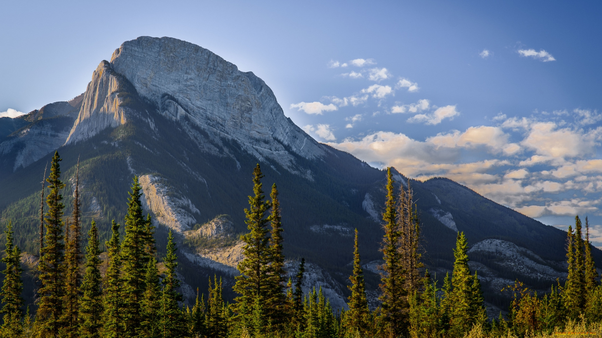 природа, горы, простор