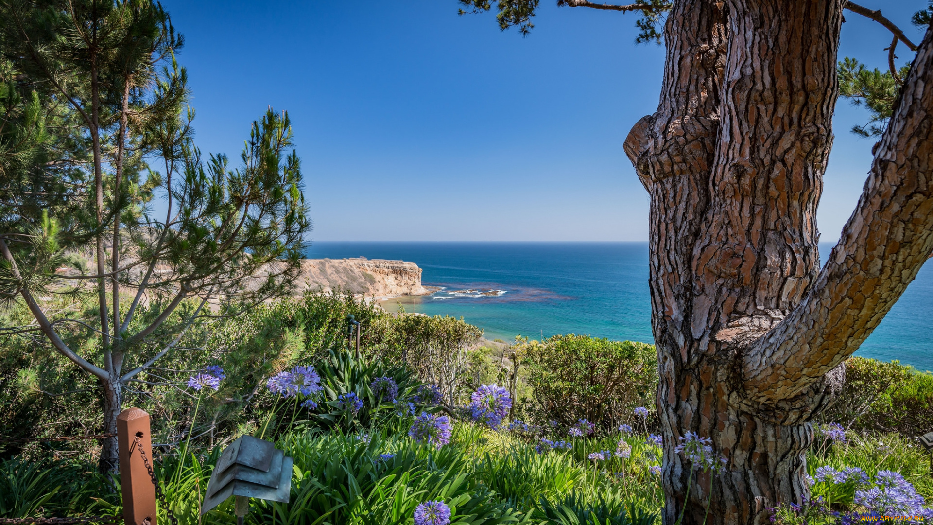 природа, побережье, простор