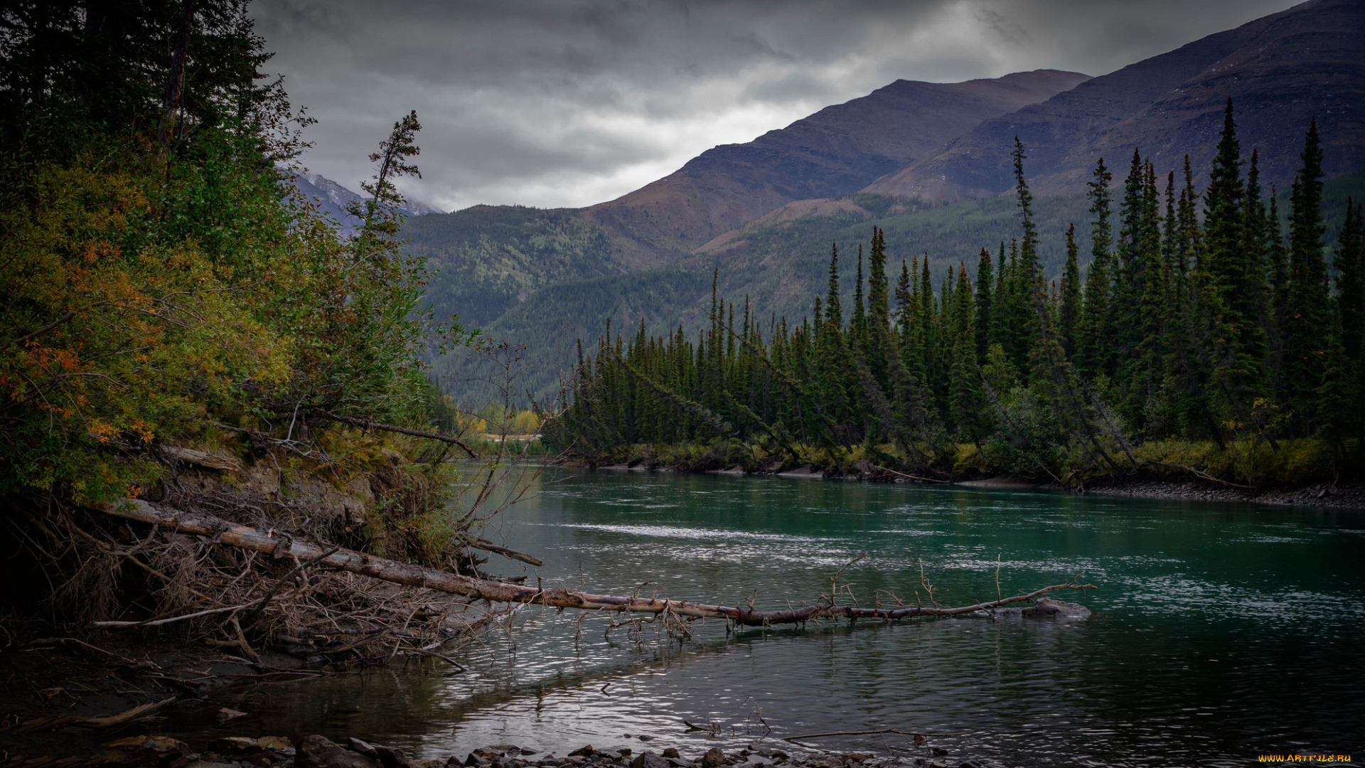 природа, реки, озера, простор