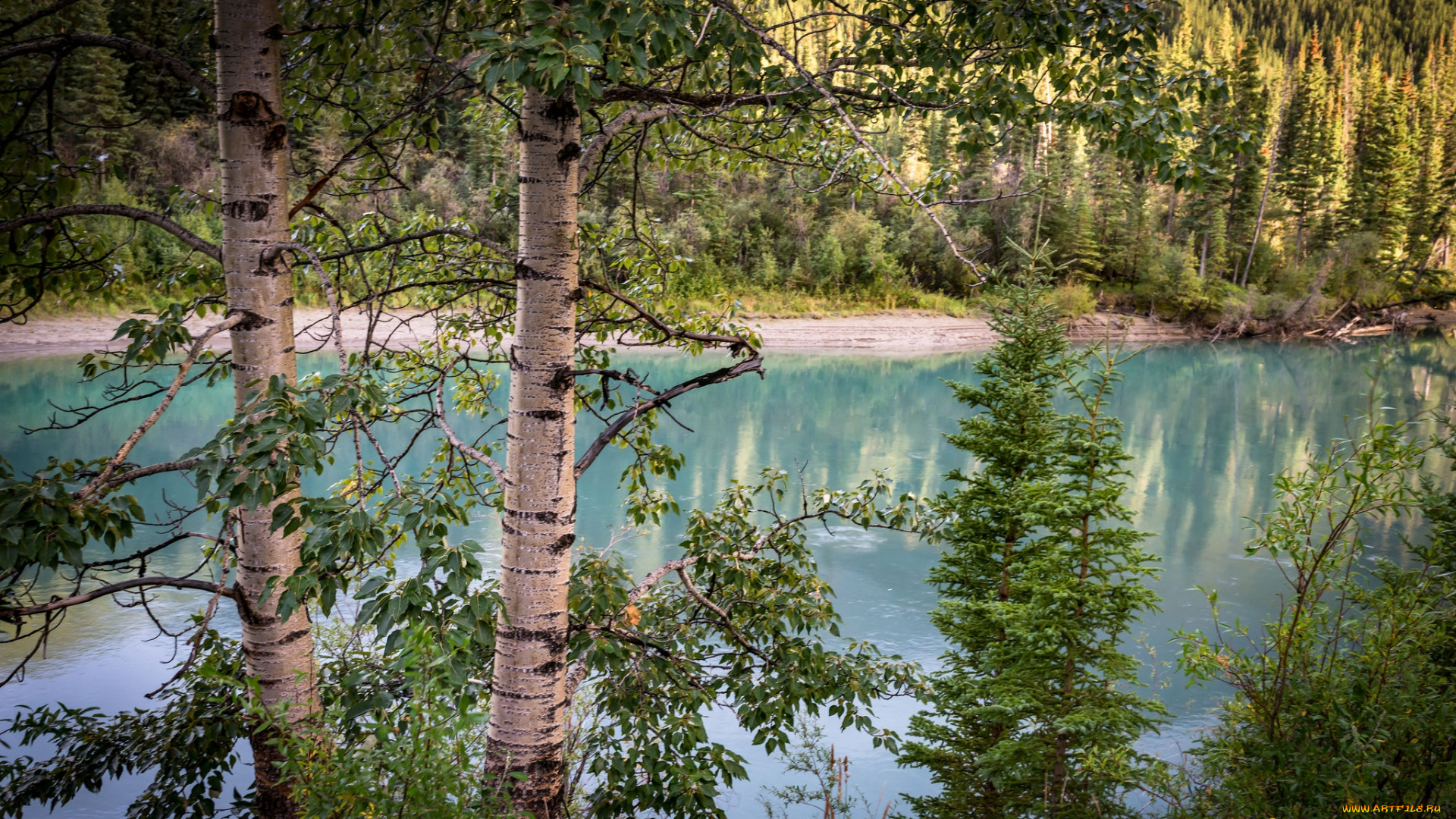 природа, реки, озера, простор