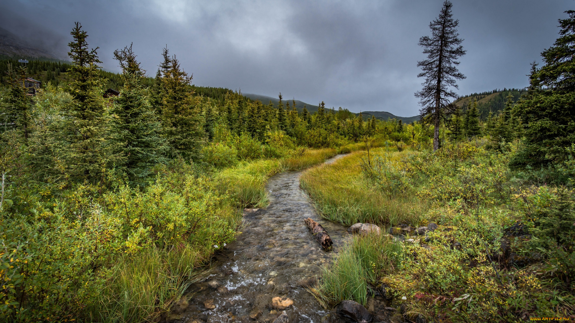 природа, реки, озера, простор