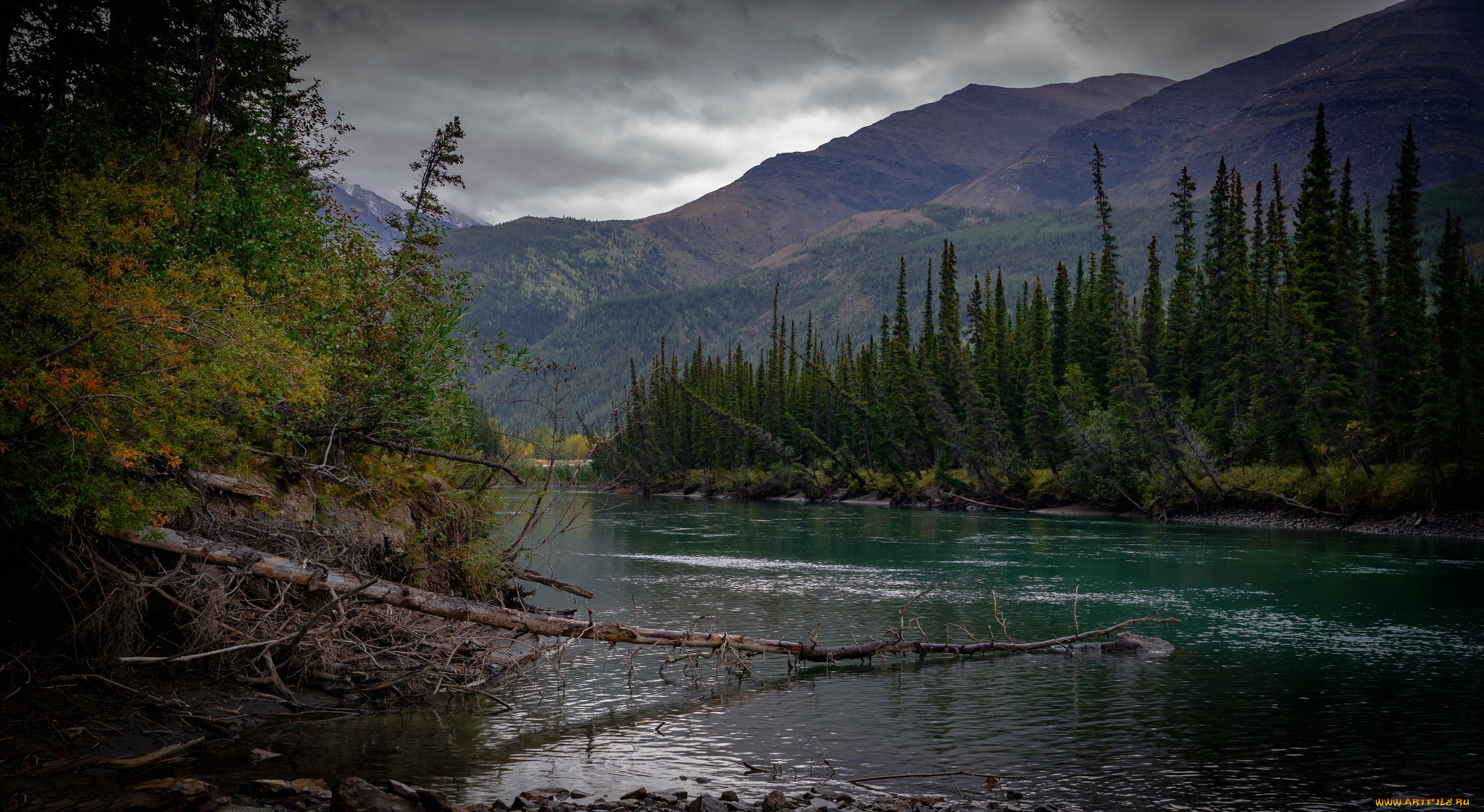 природа, реки, озера, простор