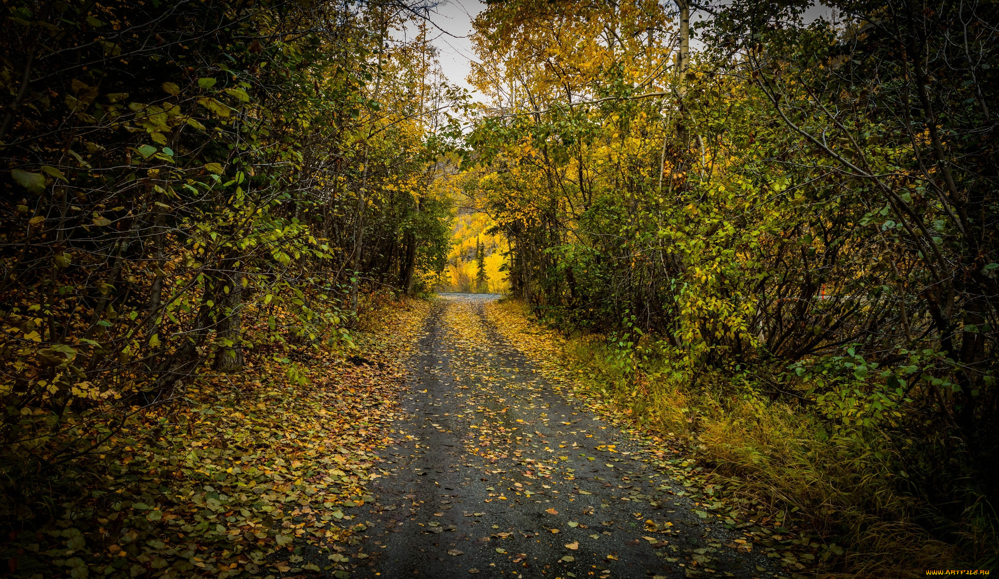 природа, дороги, простор