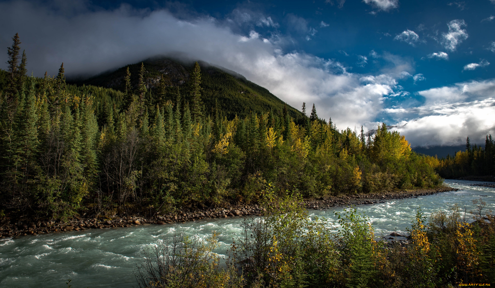 природа, реки, озера, простор