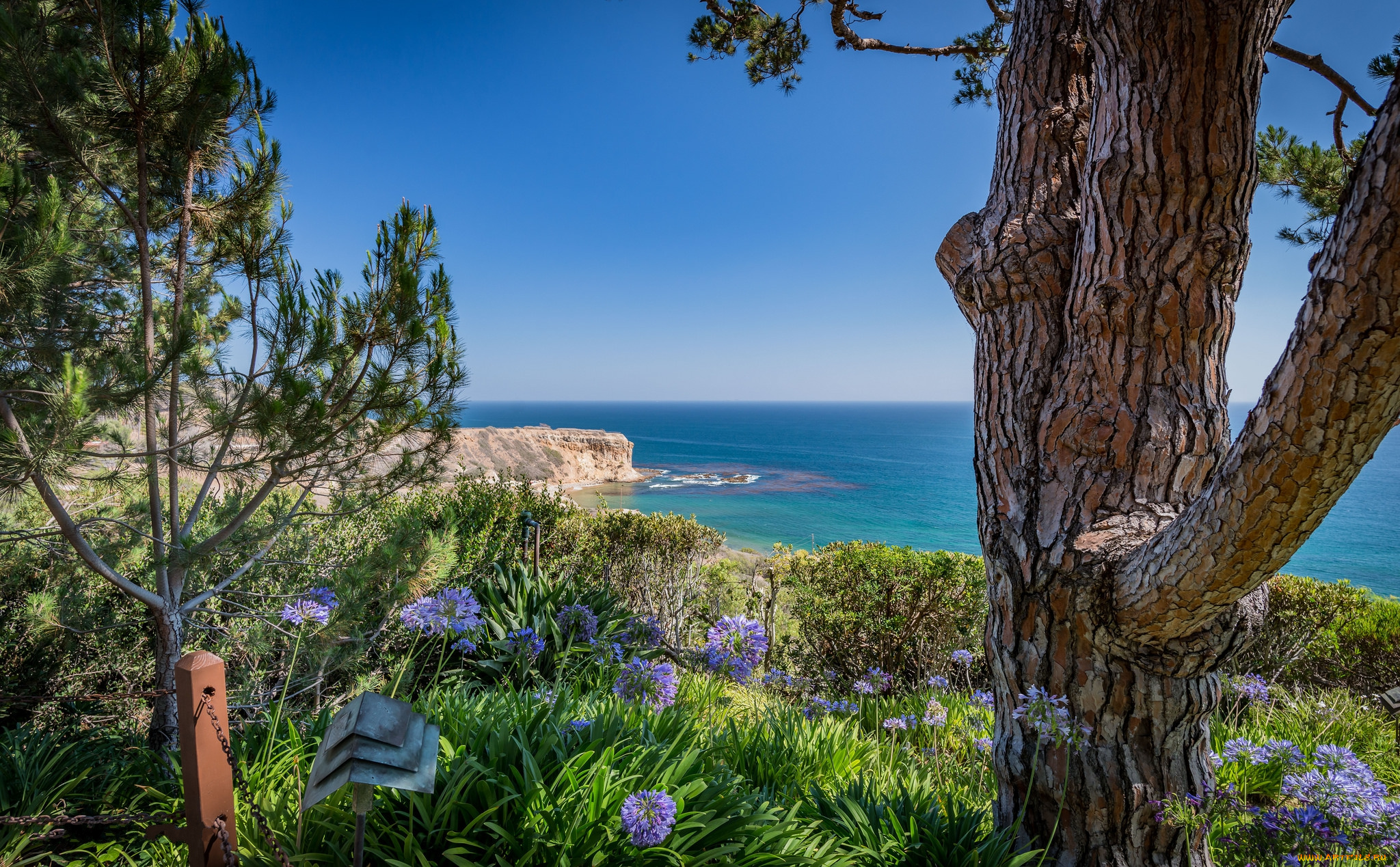 природа, побережье, простор