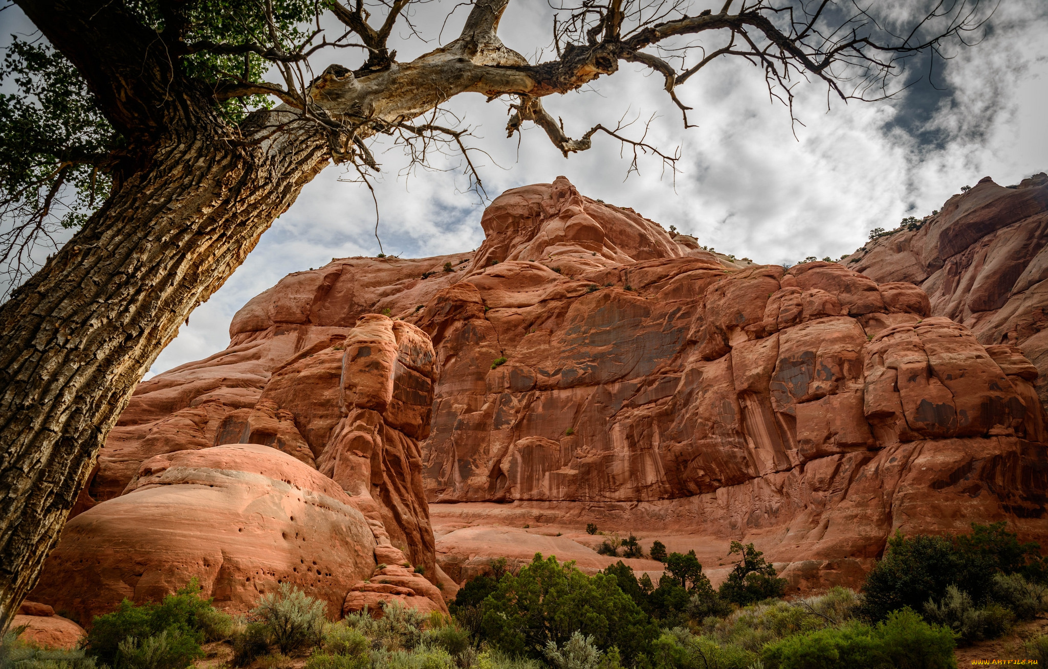 природа, горы, простор