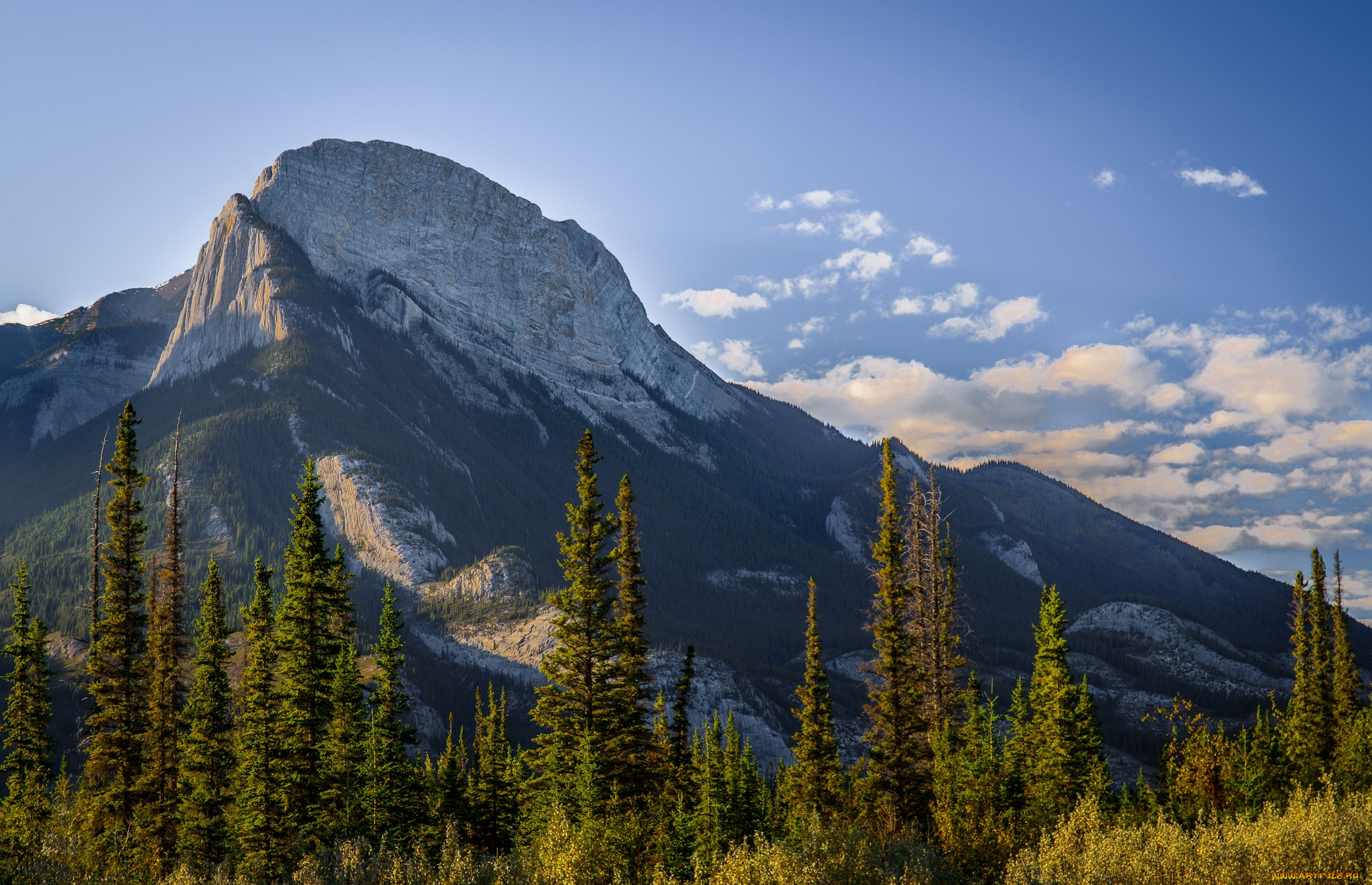 природа, горы, простор