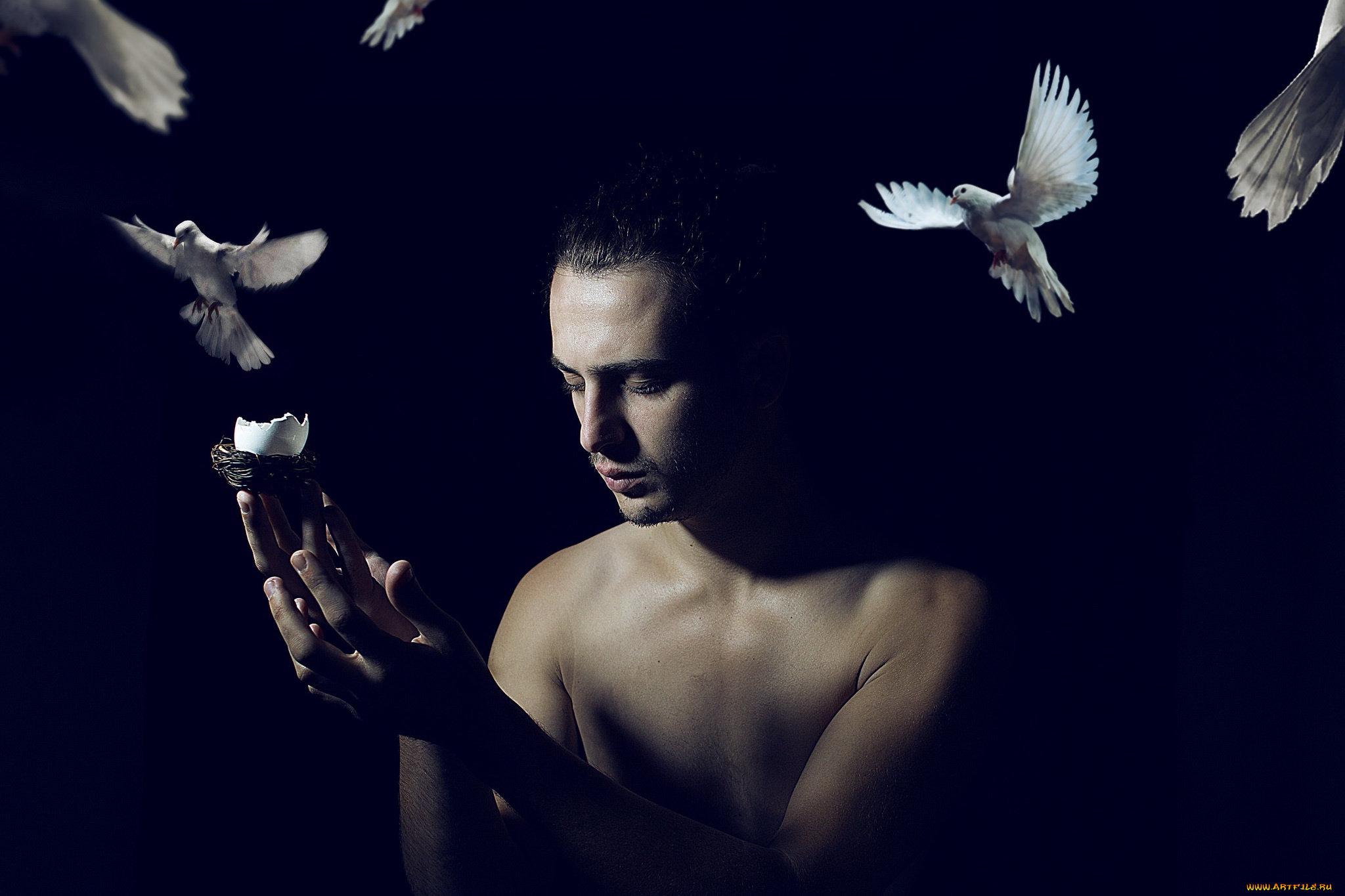 мужчины, -, unsort, человек, фон, голуби