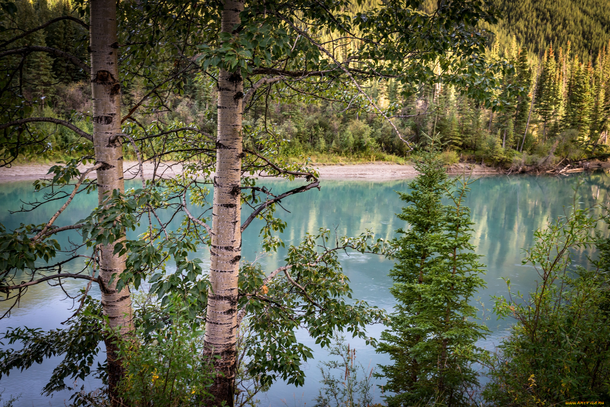 природа, реки, озера, простор