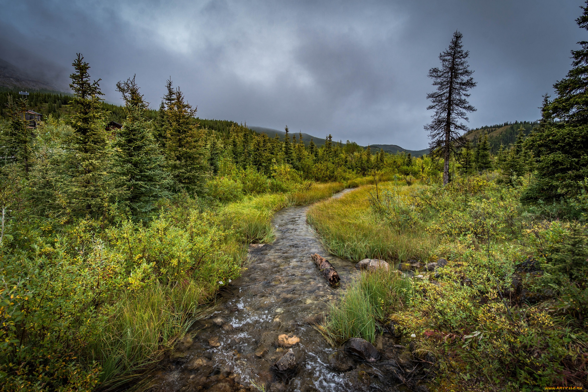 природа, реки, озера, простор