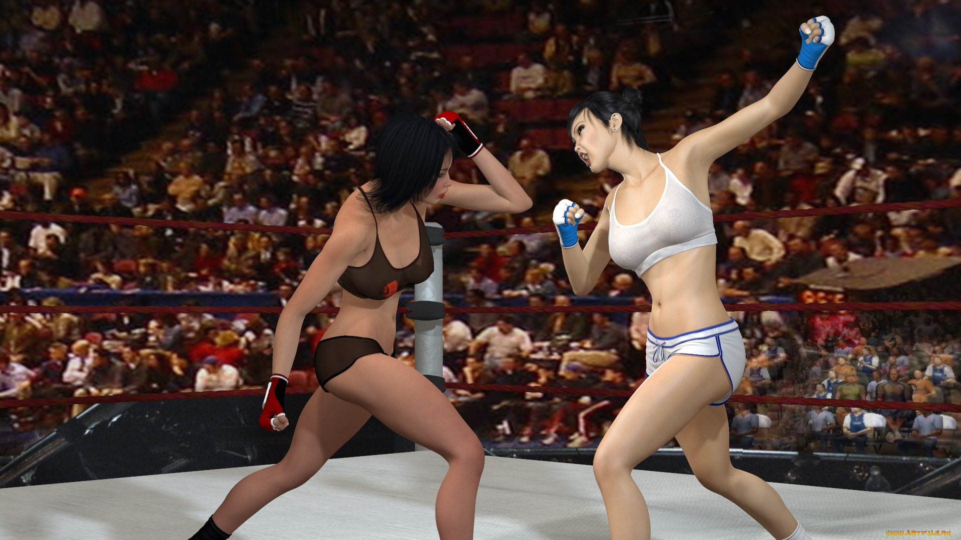 3д, графика, спорт, , sport, девушки, взгляд, фон, ринг, борьба