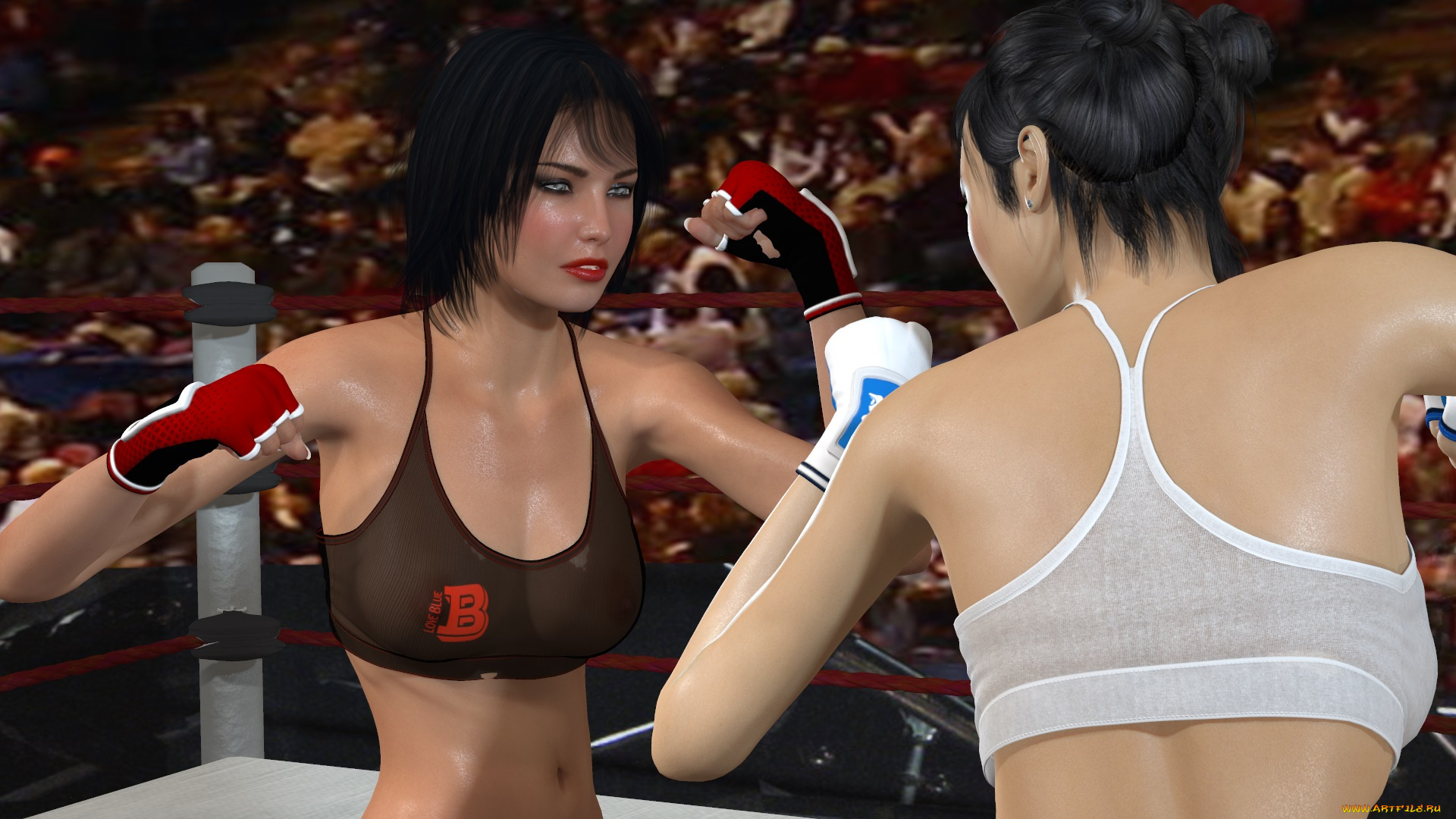 3д, графика, спорт, , sport, девушки, взгляд, фон, ринг, борьба