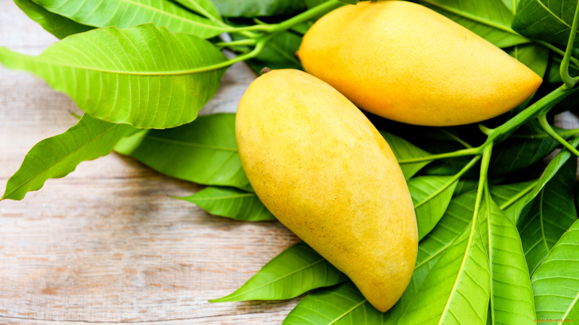 еда, манго, листья, желтый, два