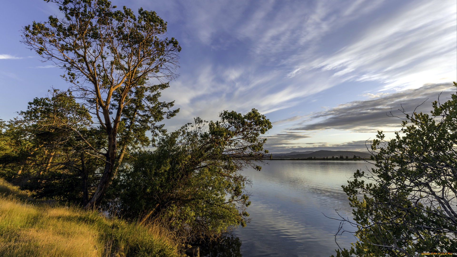 природа, реки, озера, река