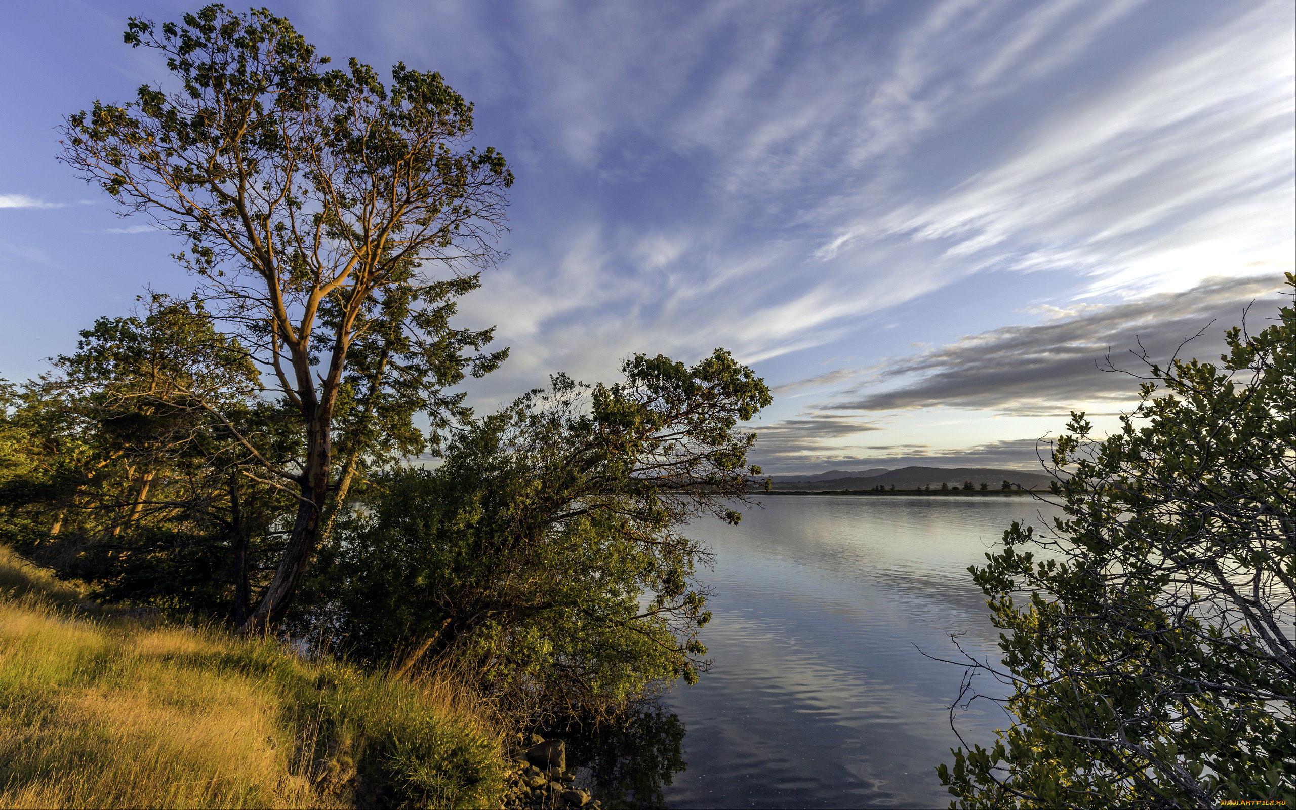 природа, реки, озера, река