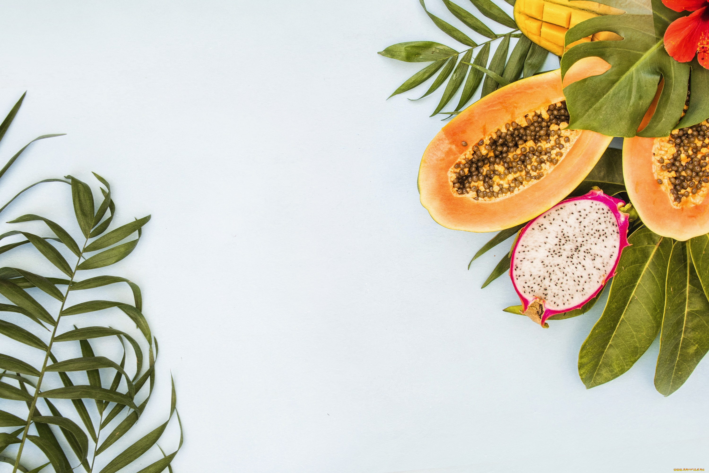 еда, фрукты, , ягоды, листья, фон, папайа, экзотик