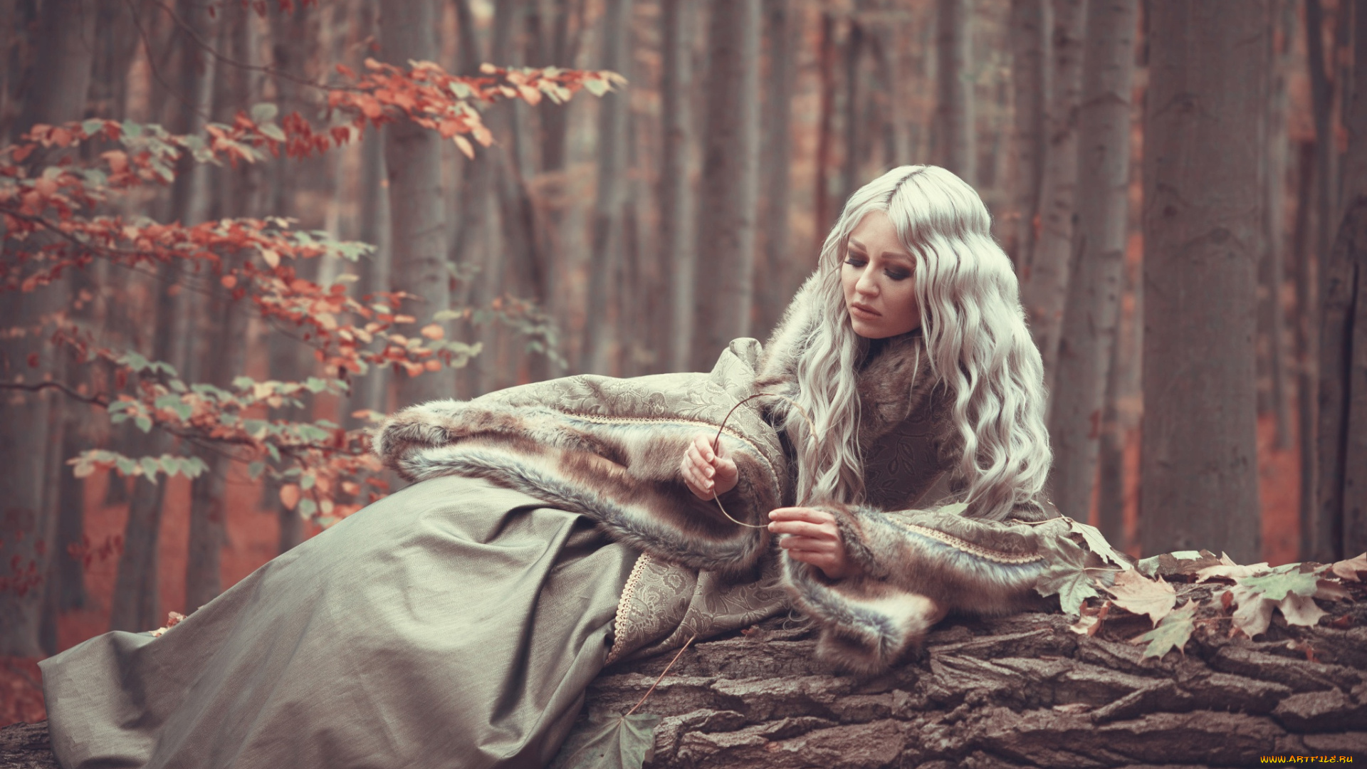 девушки, -, блондинки, , светловолосые, девушка, красивая, супер, секси, няша, нежная, классная, модница, лапочка, мадам