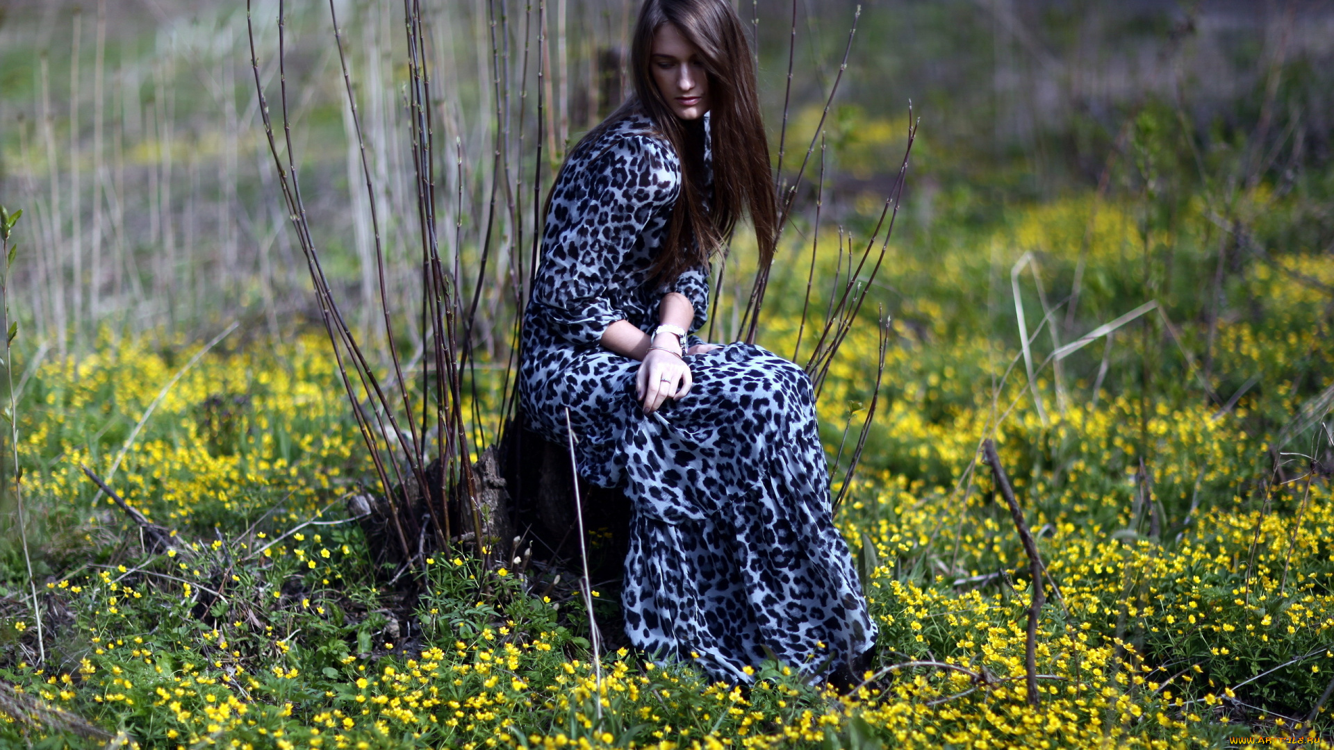 девушки, -, брюнетки, , шатенки, девушка, красивая, супер, секси, няша, нежная, классная, модница, лапочка, мадам