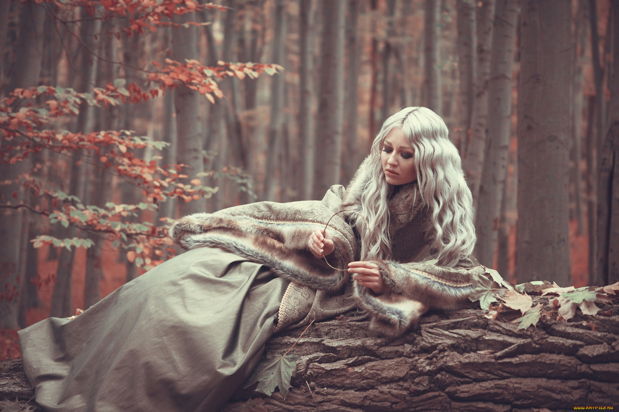 девушки, -, блондинки, , светловолосые, девушка, красивая, супер, секси, няша, нежная, классная, модница, лапочка, мадам