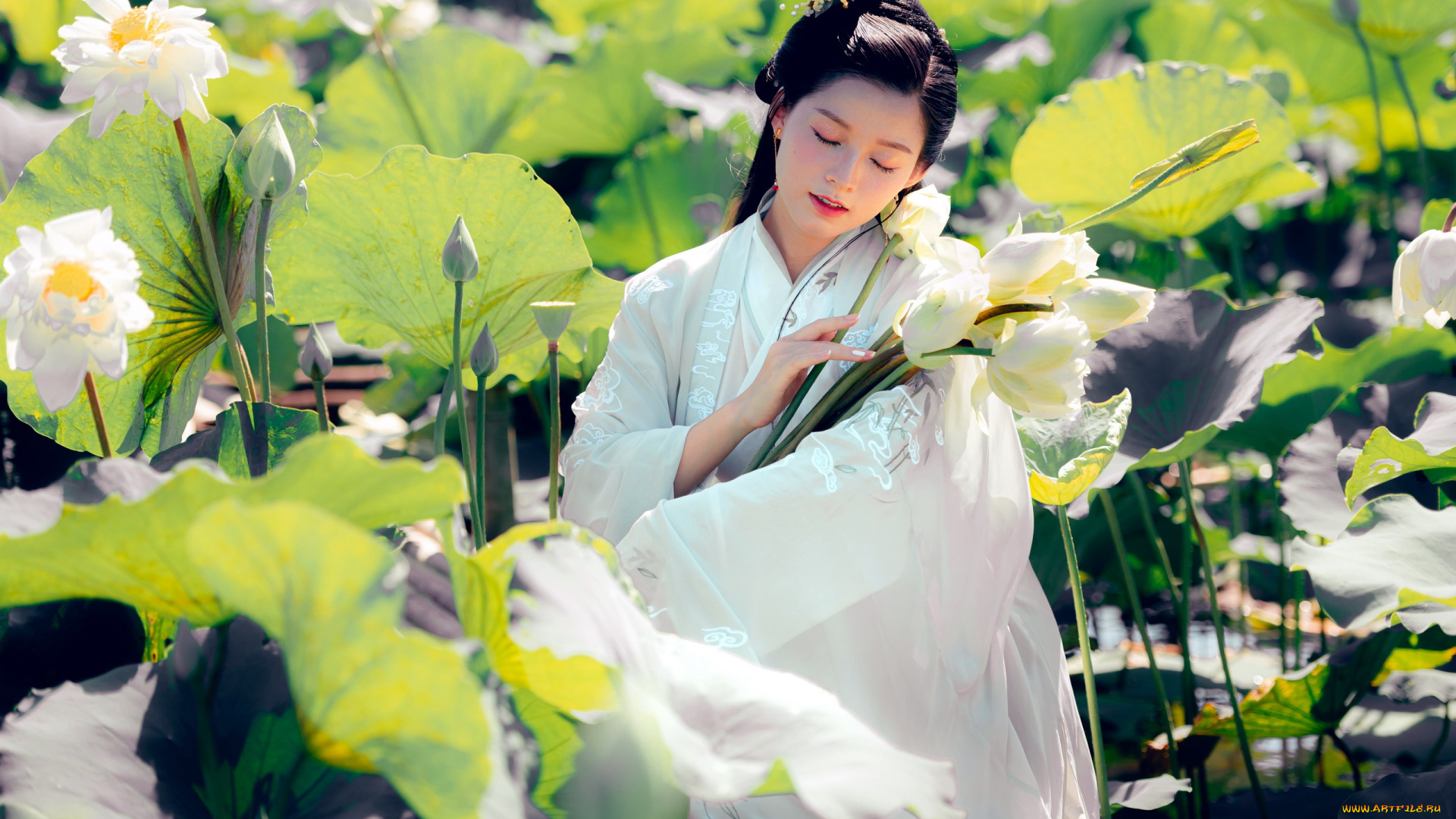 девушки, -, азиатки, азиатка, лотосы, кимоно