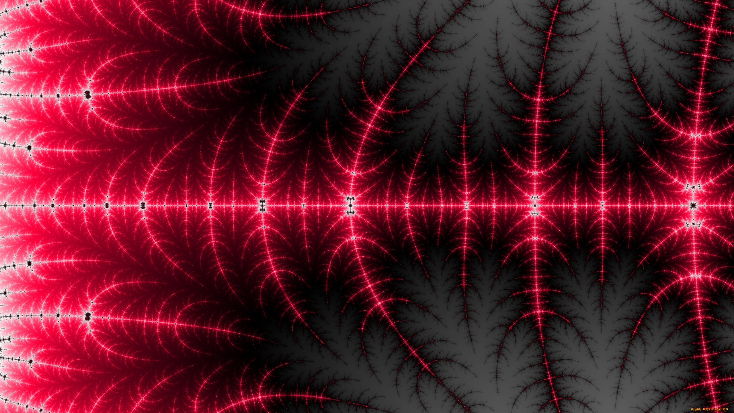 векторная, графика, -графика, , graphics, колючки, иглы