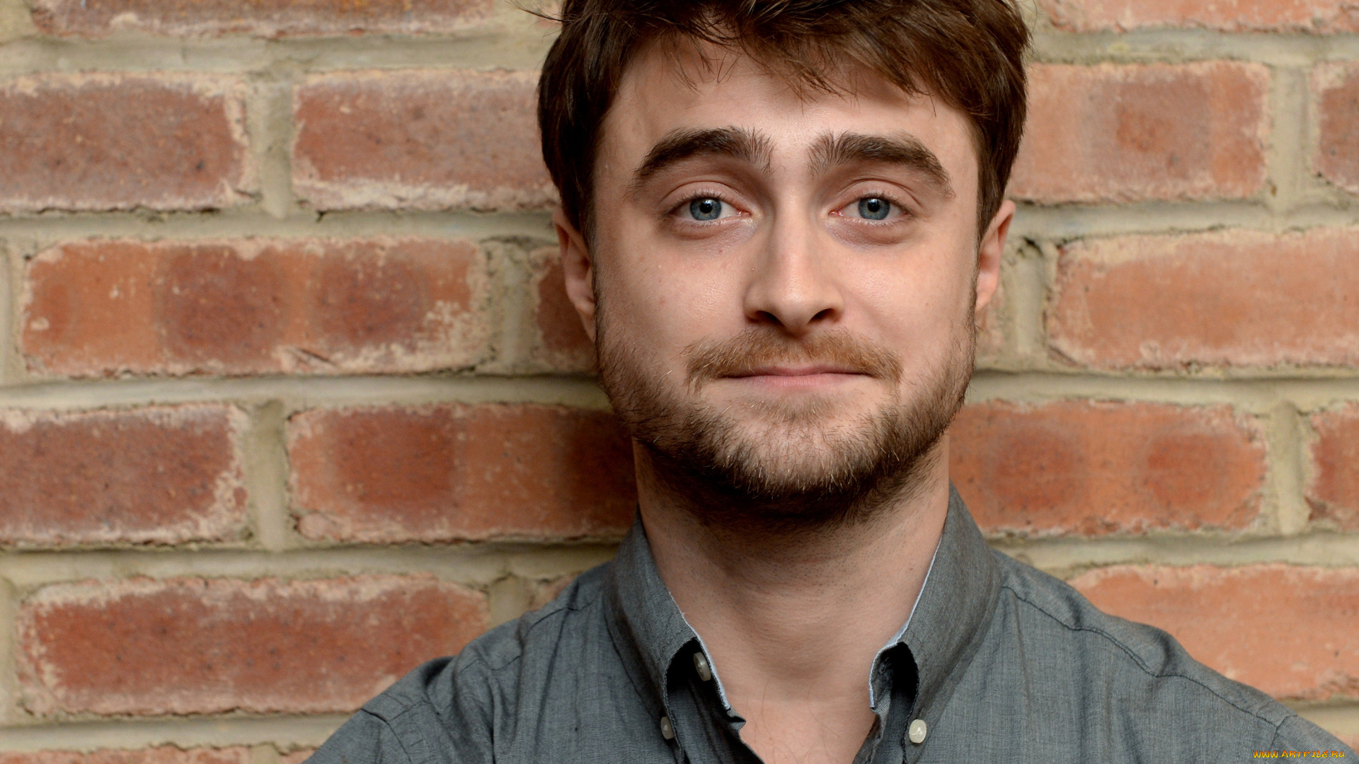 мужчины, daniel, radcliffe, актер, лицо, рубашка, стена