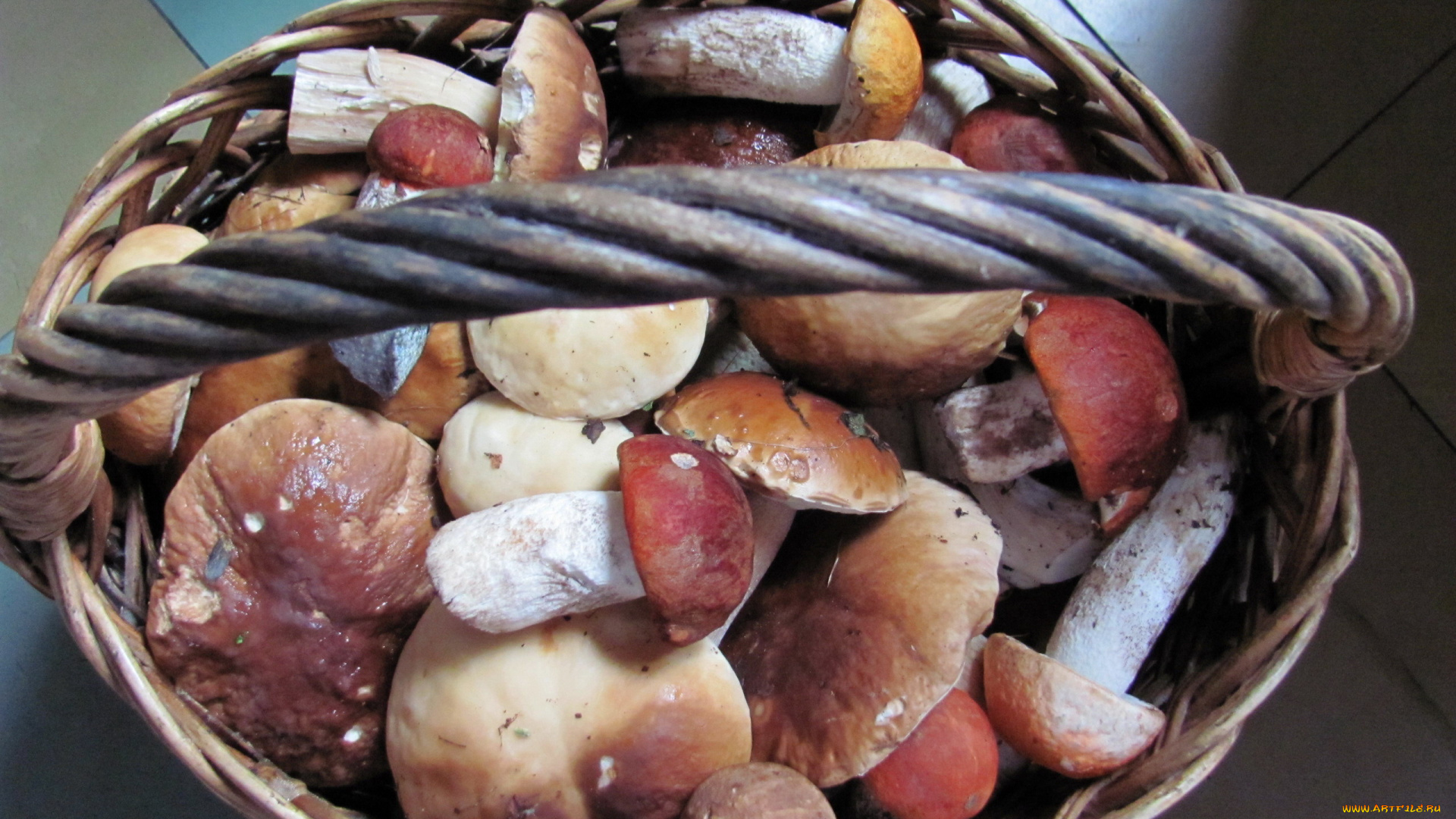 еда, грибы, , грибные, блюда, корзина, лесные, ассорти