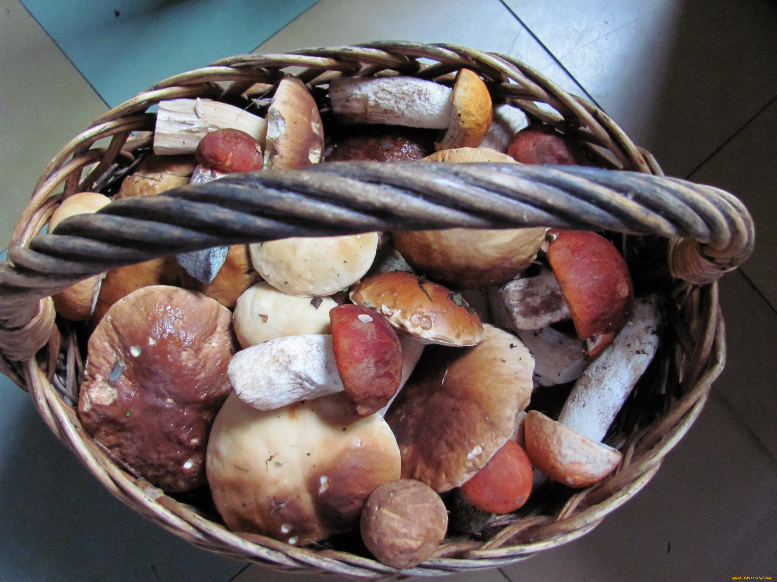 еда, грибы, , грибные, блюда, корзина, лесные, ассорти